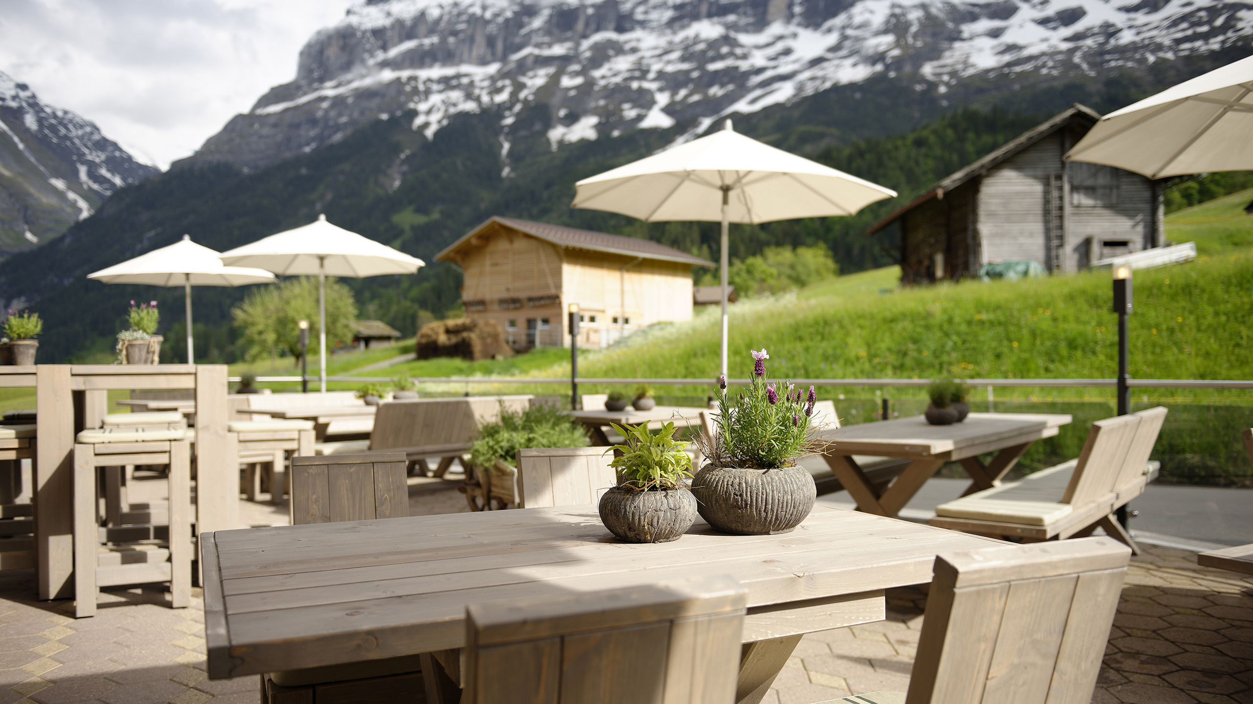 Hotel Aspen