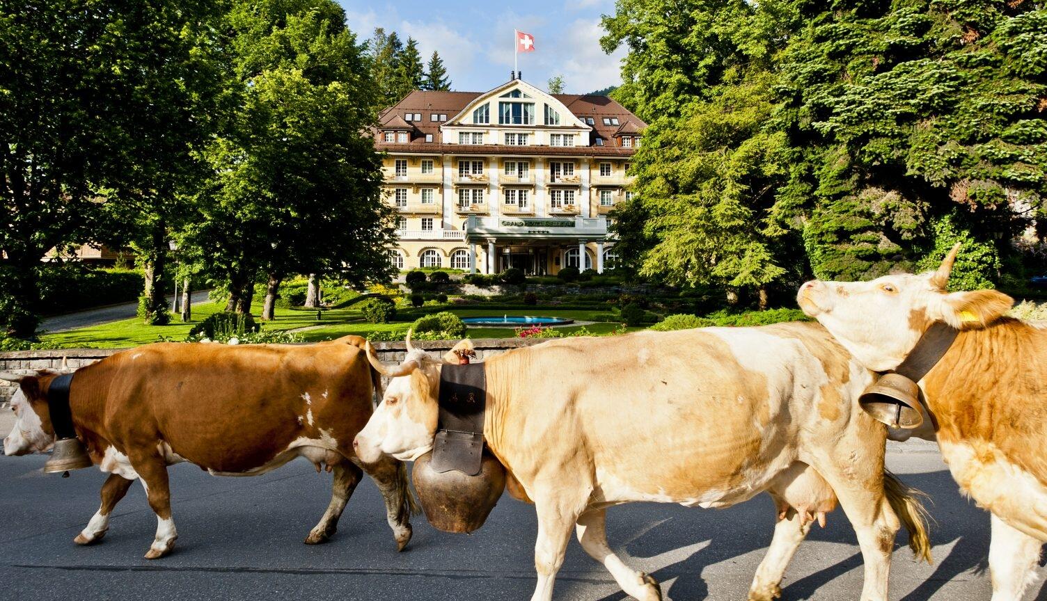 Le Grand Bellevue