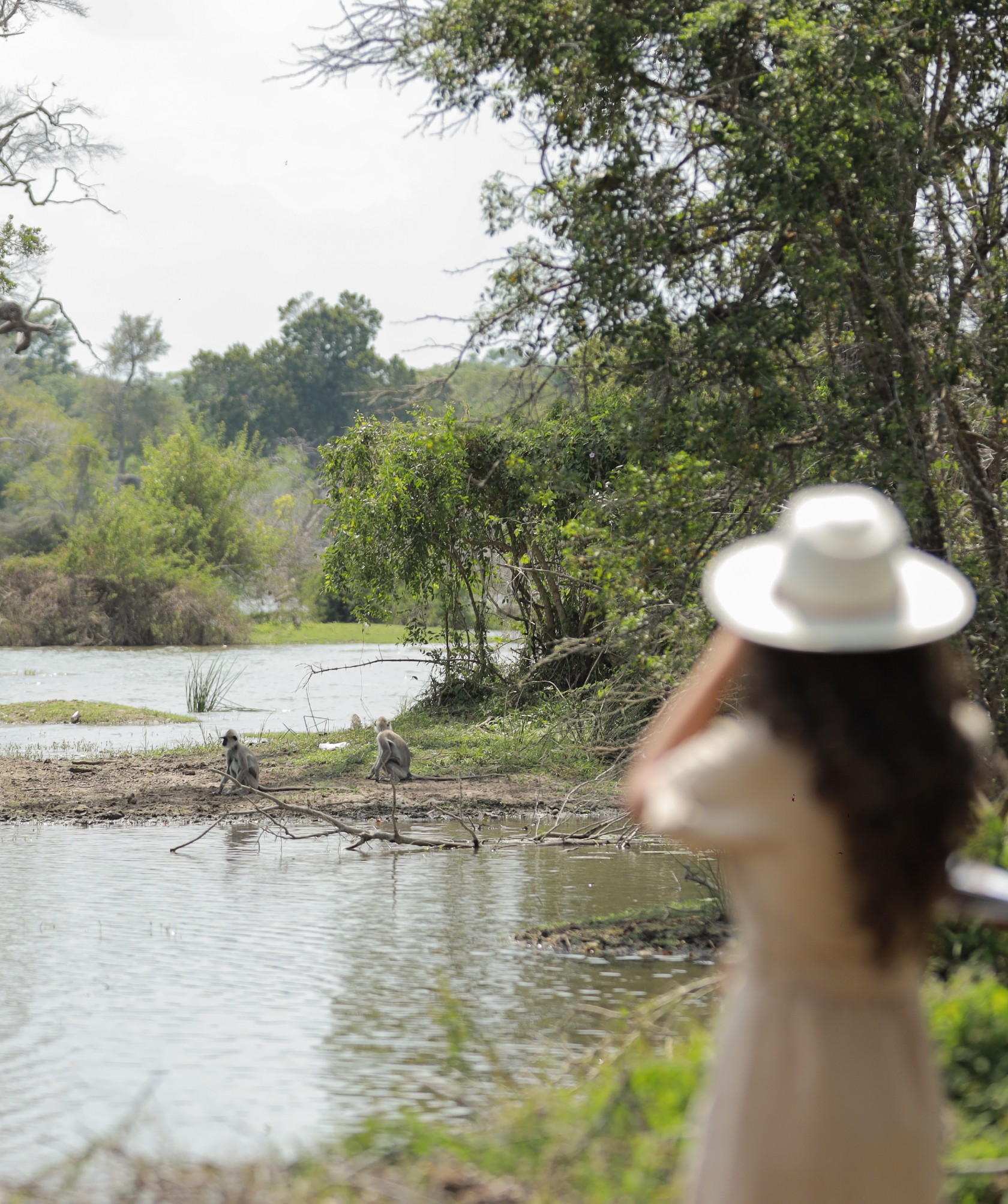 Leopard Trails Yala Camp