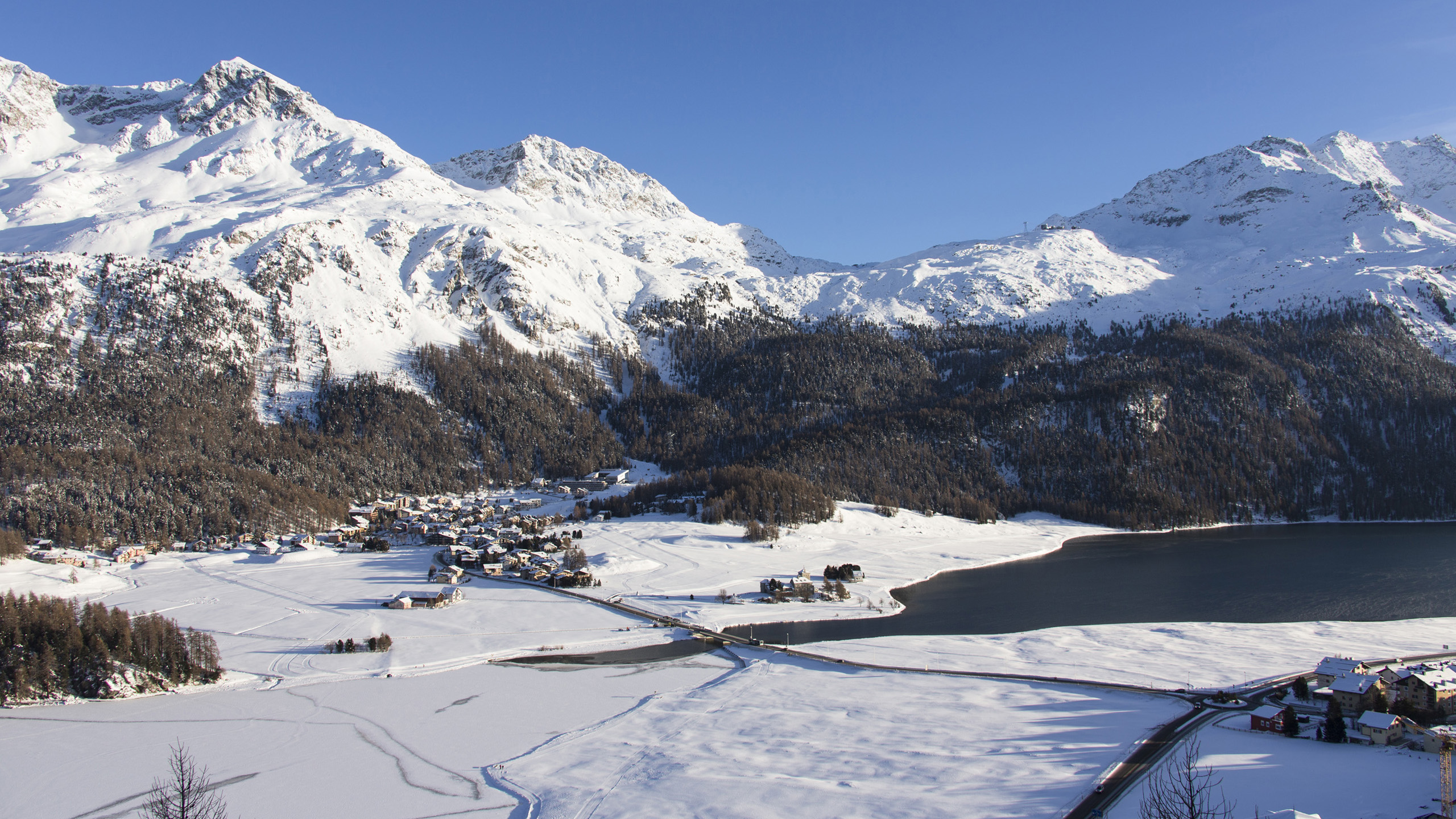Nira Alpina