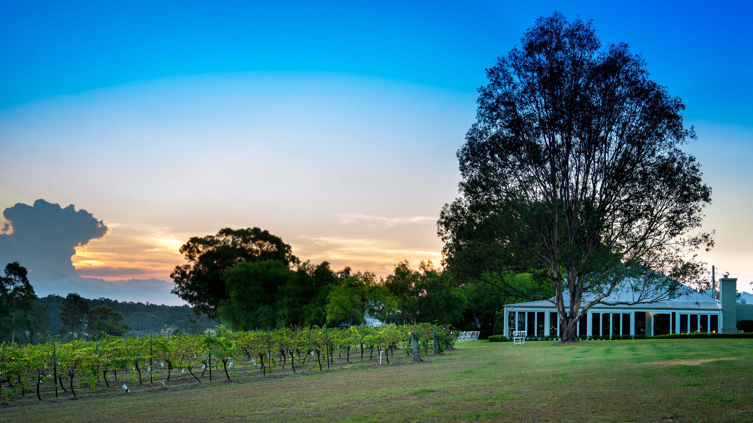 Spicers Vineyards Estate