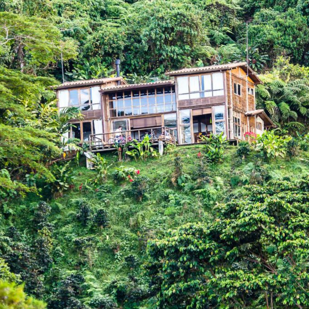 Casa Oropéndola