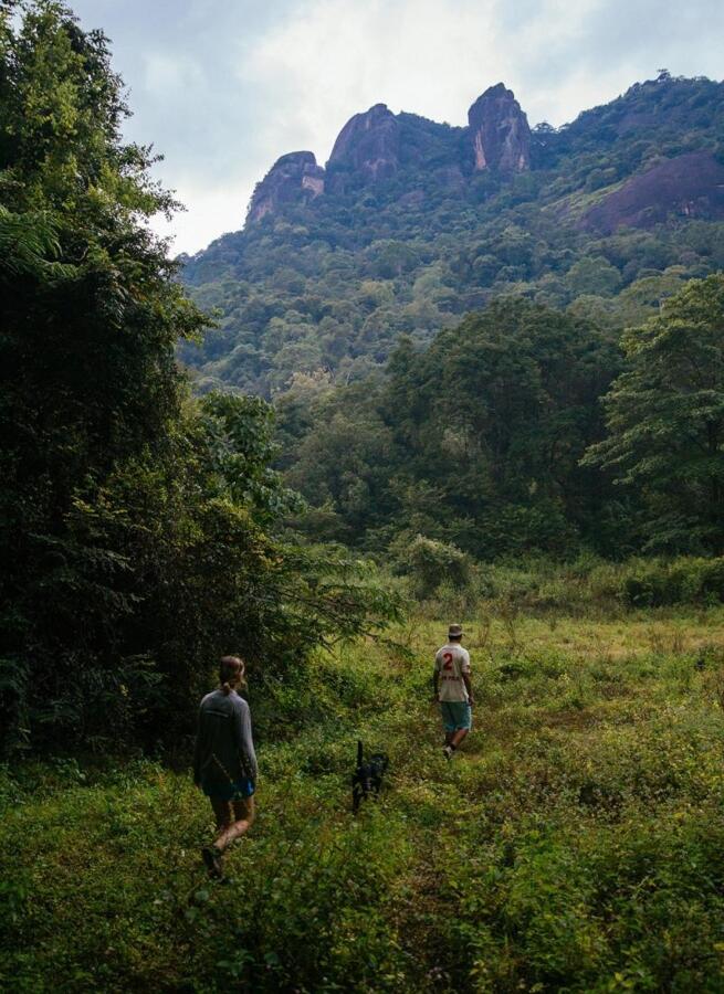 Gal Oya Lodge