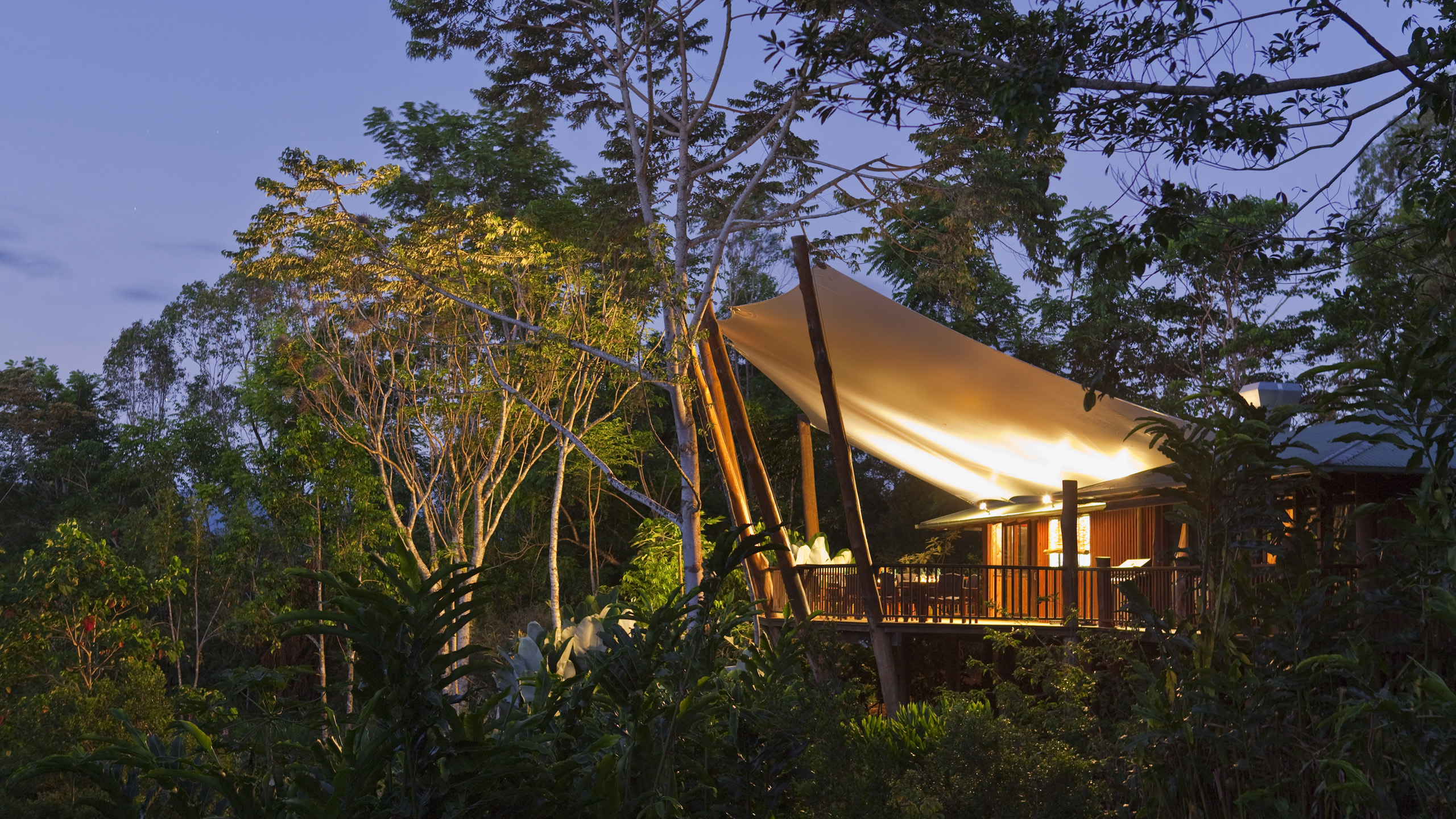 rose-gums-treehouse-night