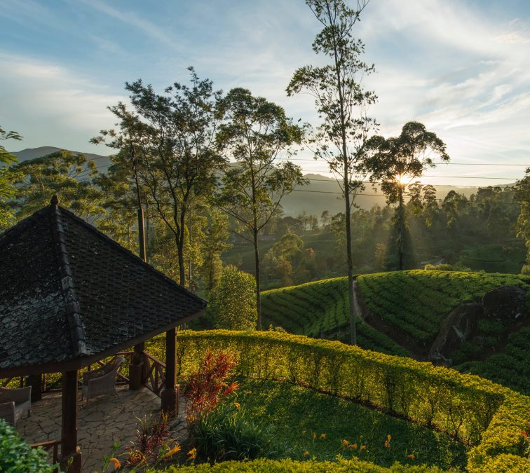 Ceylon Tea Trails