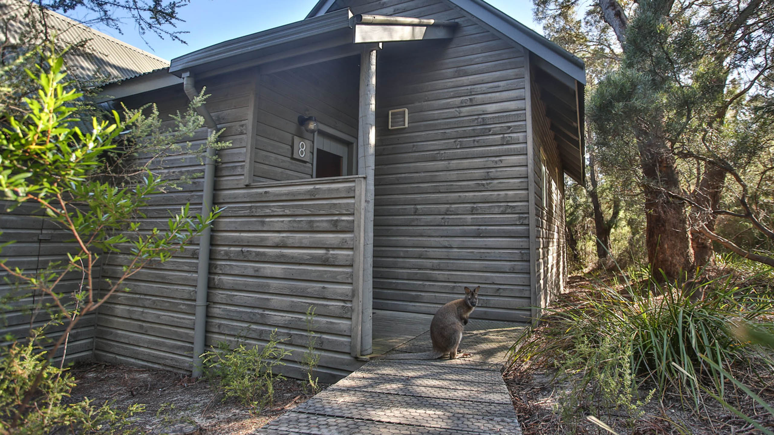 Freycinet Lodge