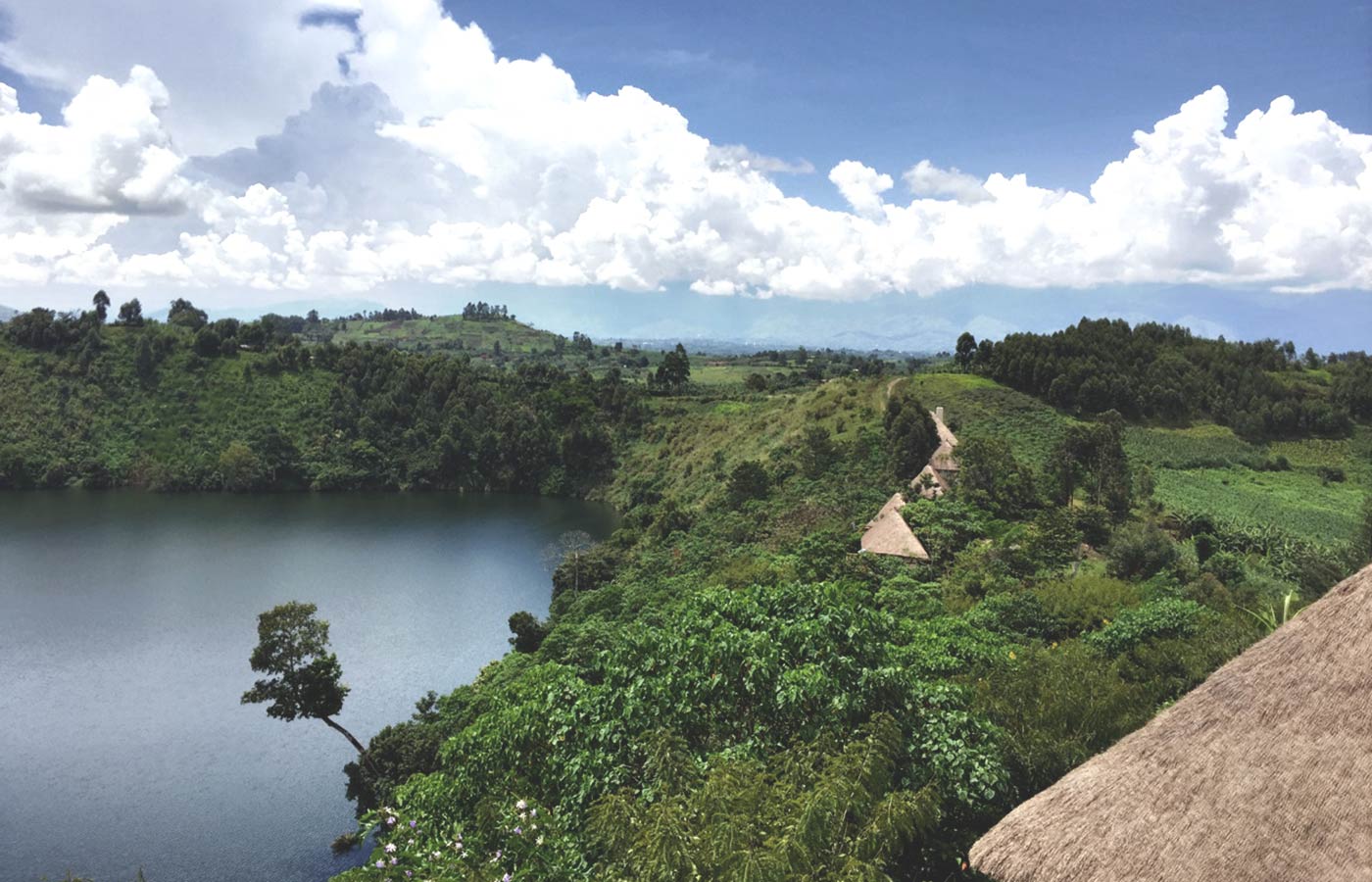 Papaya Lake Lodge