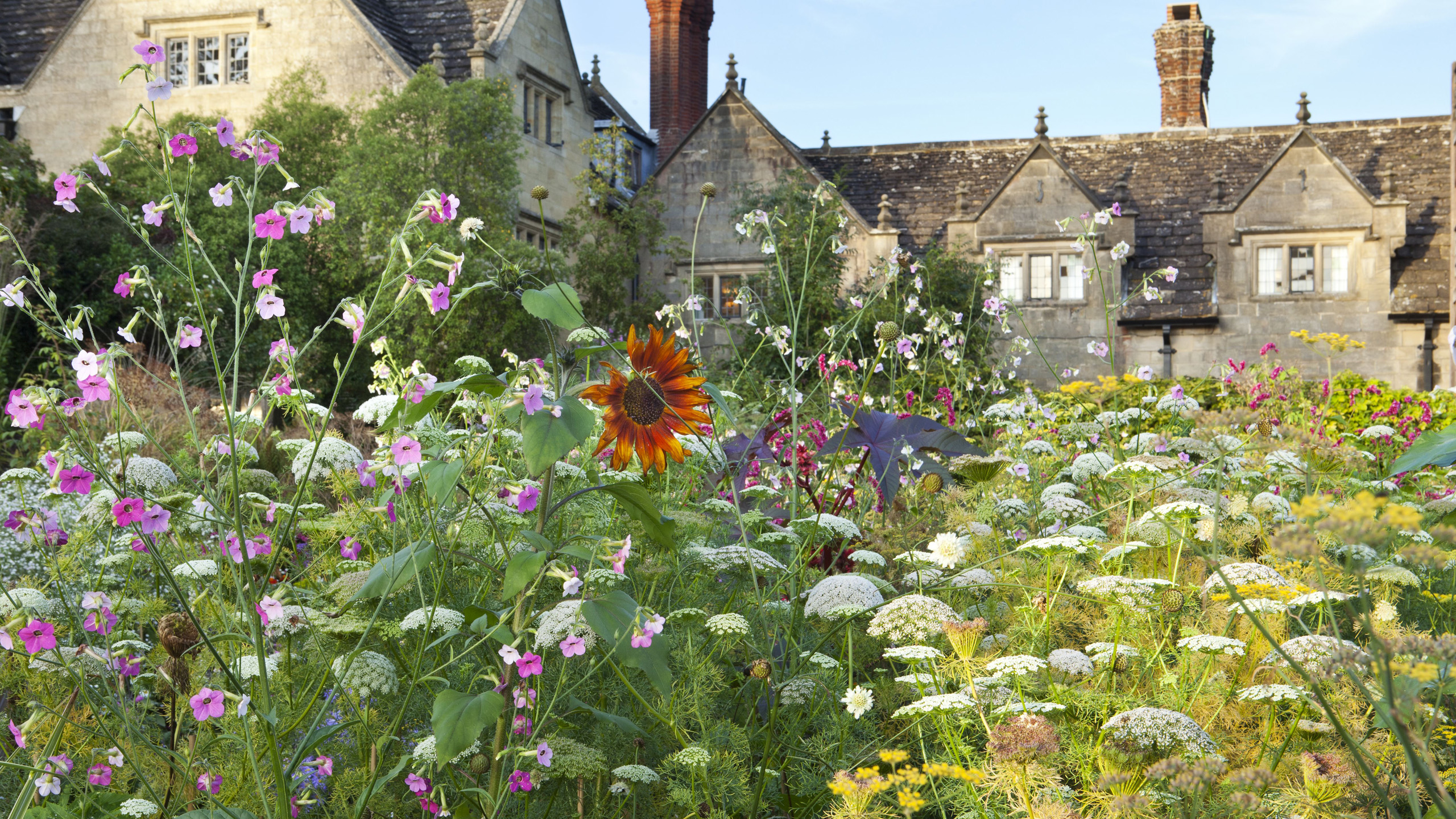 gravetye-manor-wildflowers