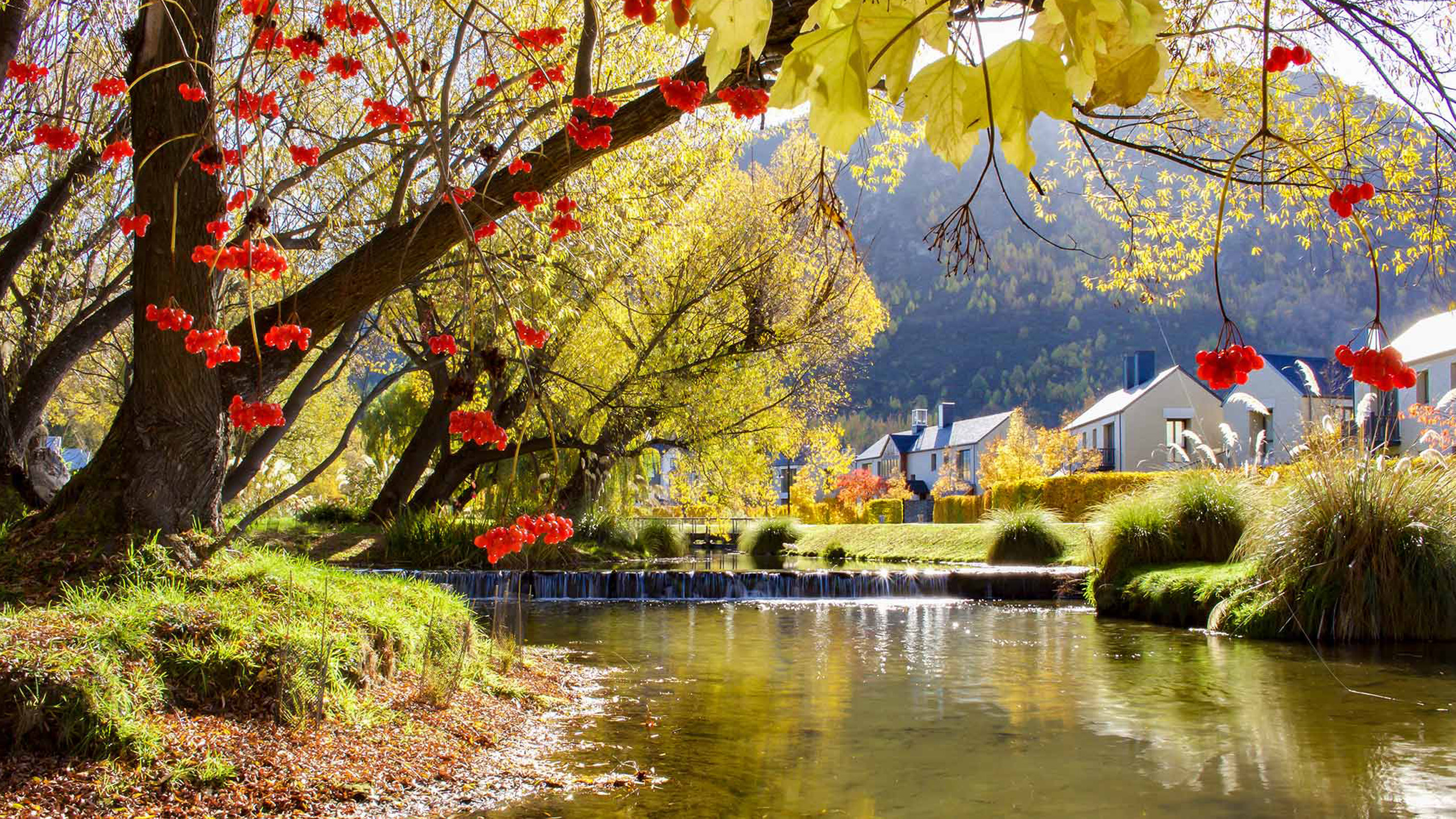 milbrook-queenstown-cottages