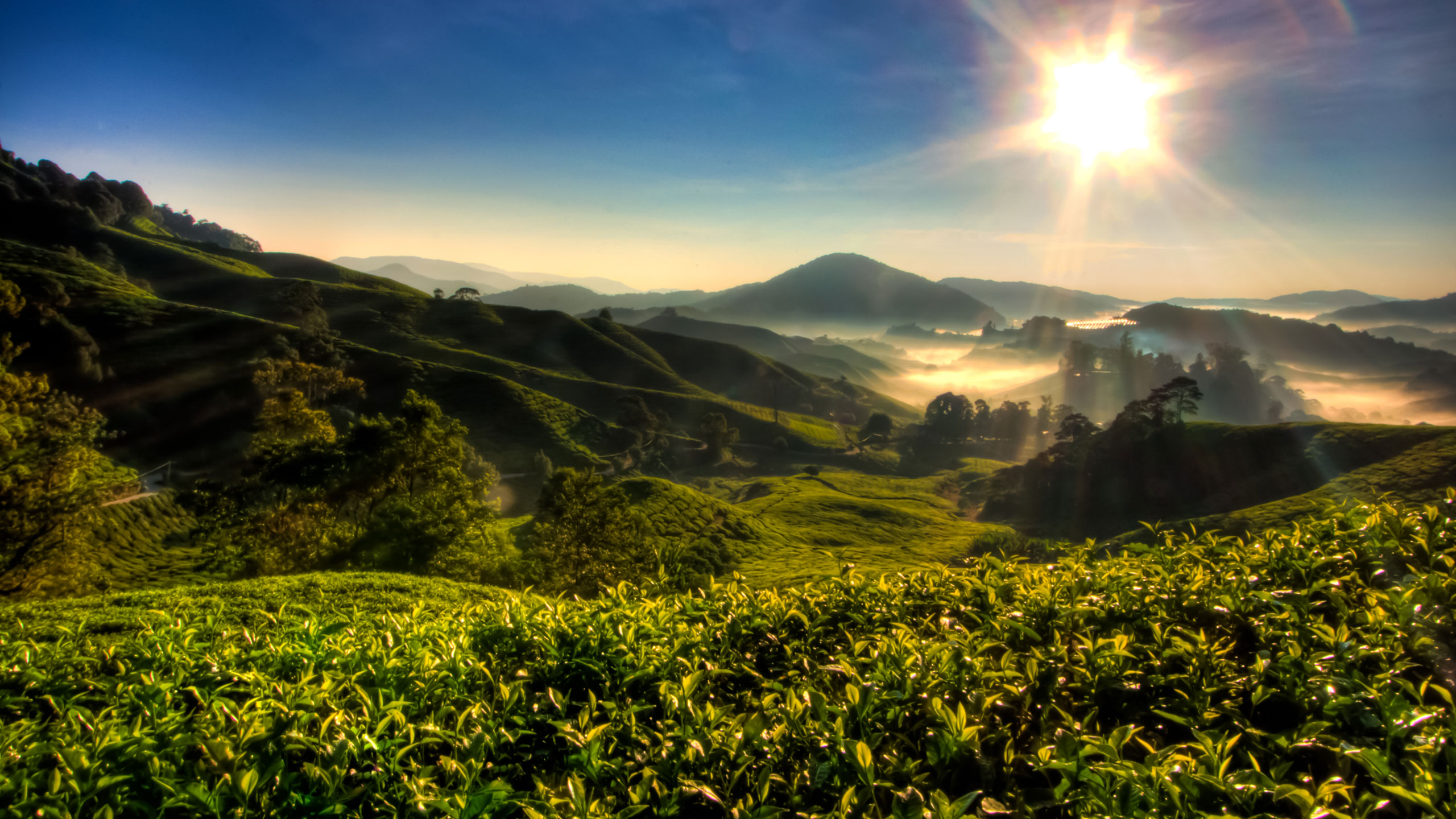 When is the Best Time to Visit Malaysia? - Jacada Travel