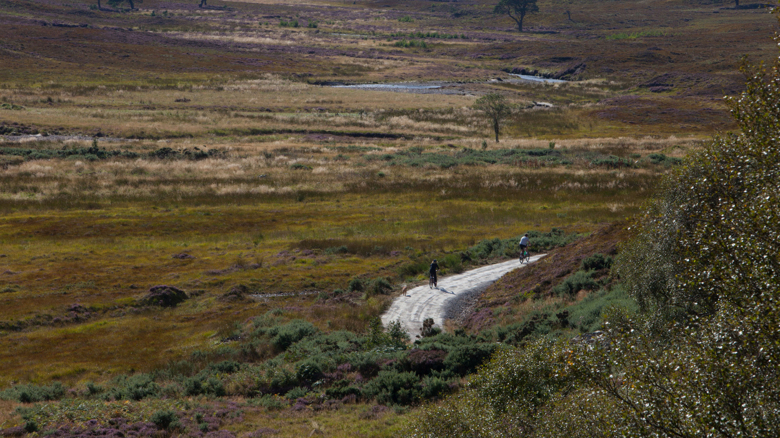 Alladale Wilderness Reserve