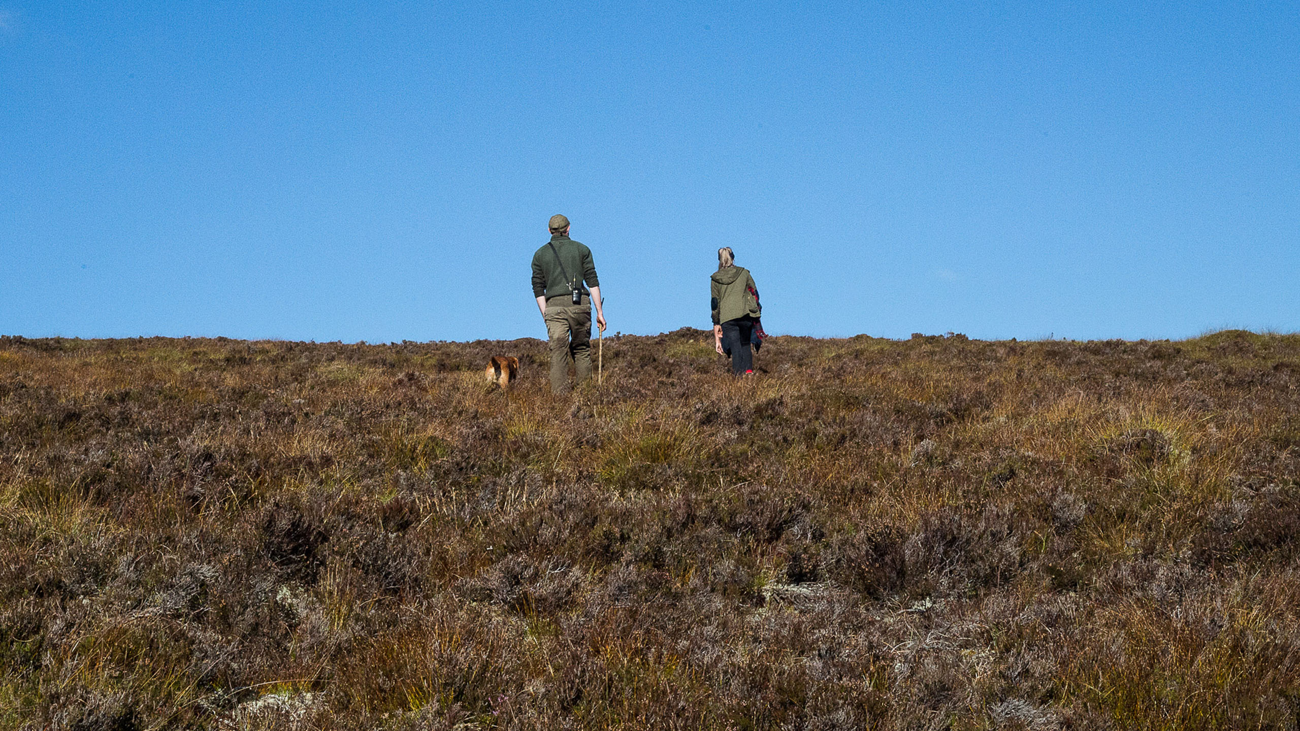 Alladale Wilderness Reserve
