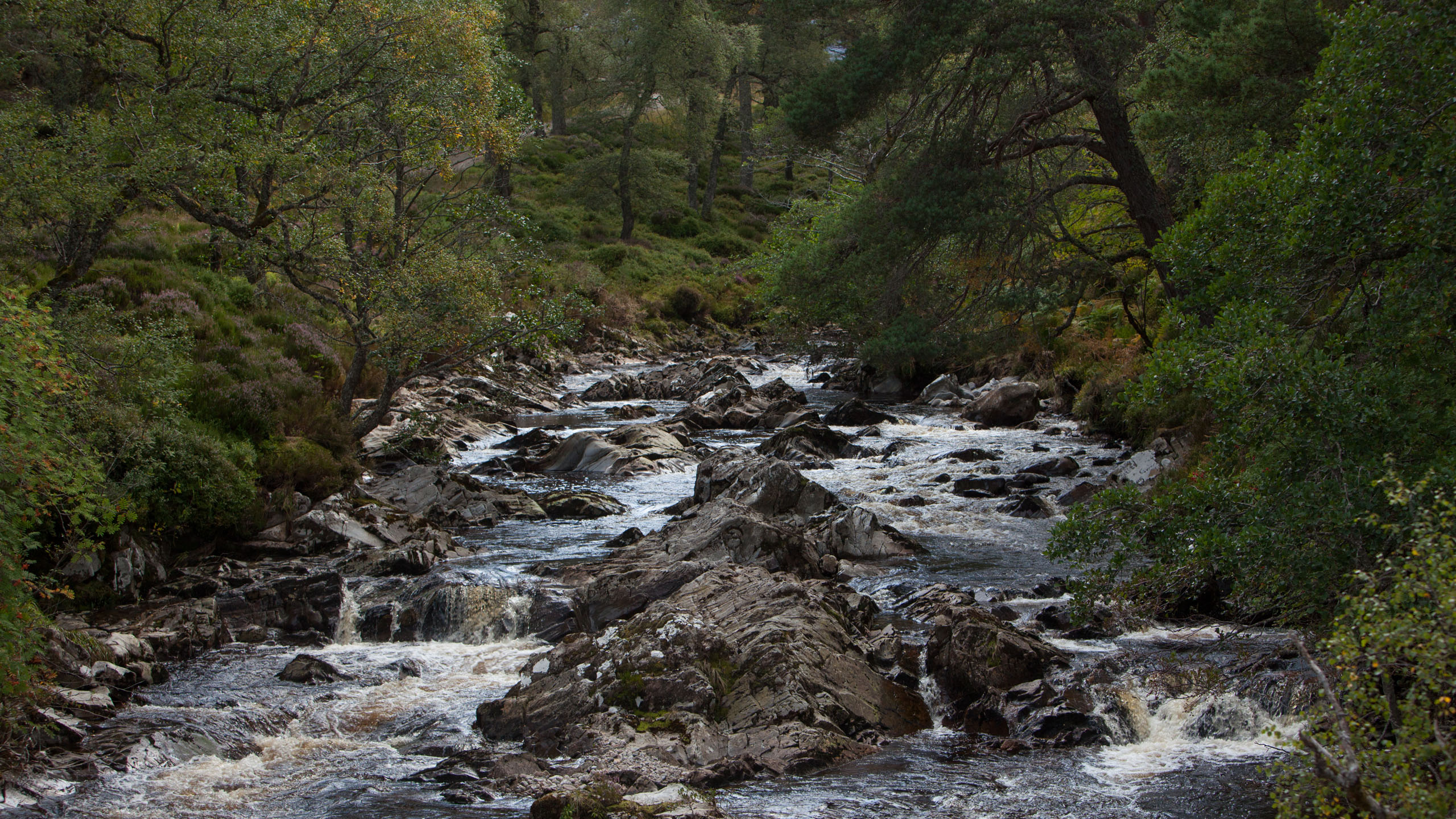 Alladale Wilderness Reserve