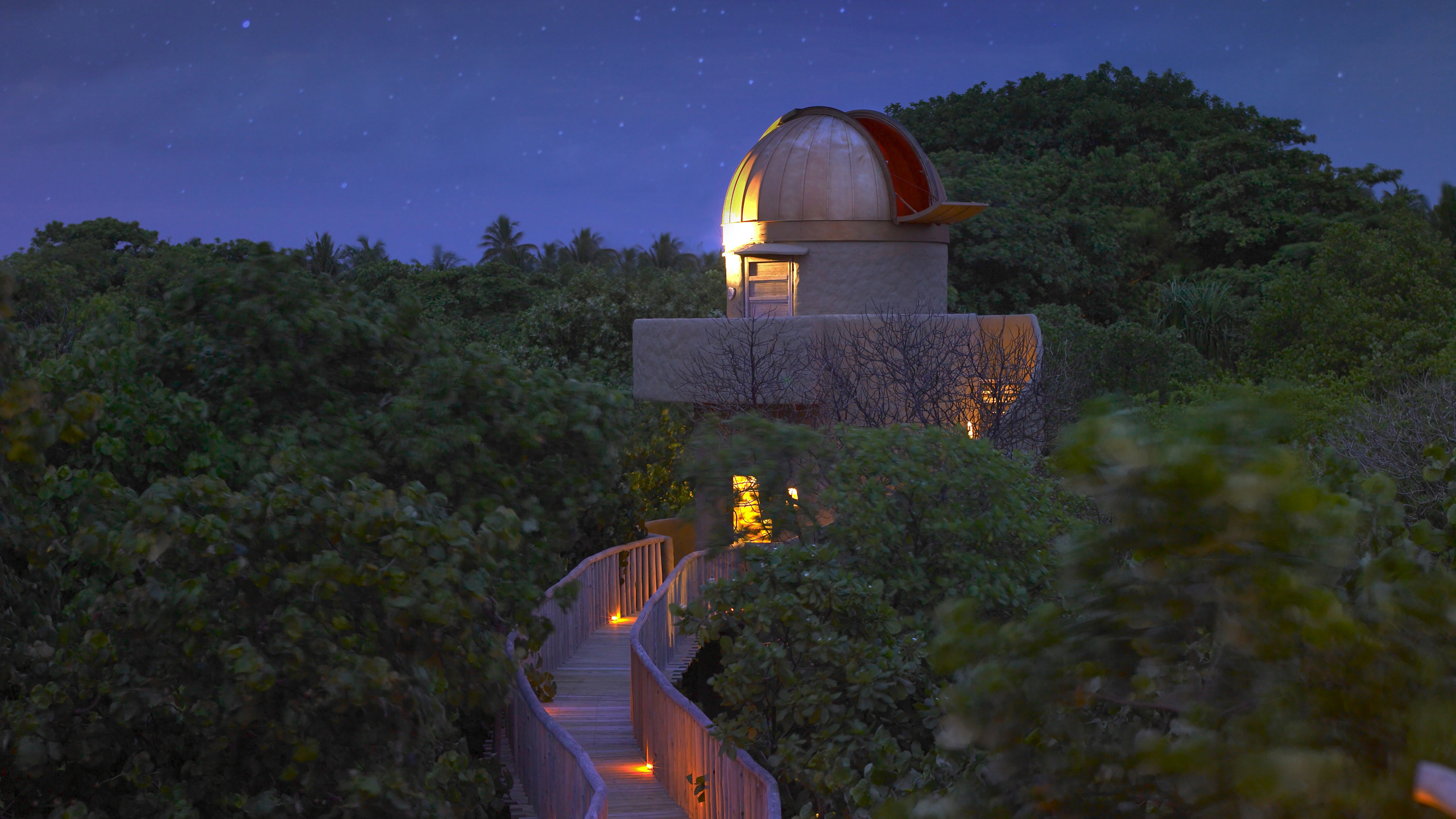 Small observatory tower and a wooden bridge with orange lights nestled in a thick green forest at dusk.
