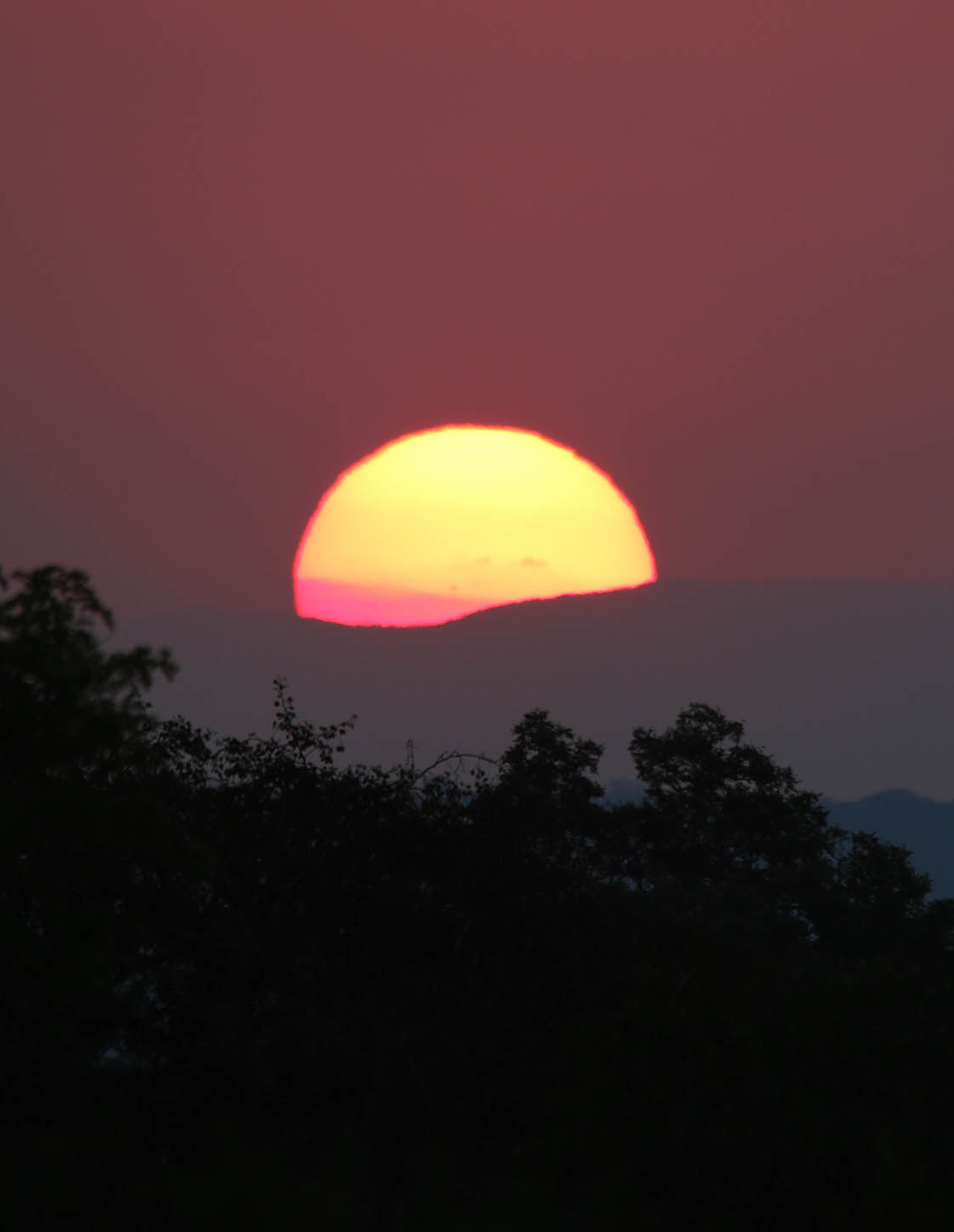Thornybush Nature Reserve