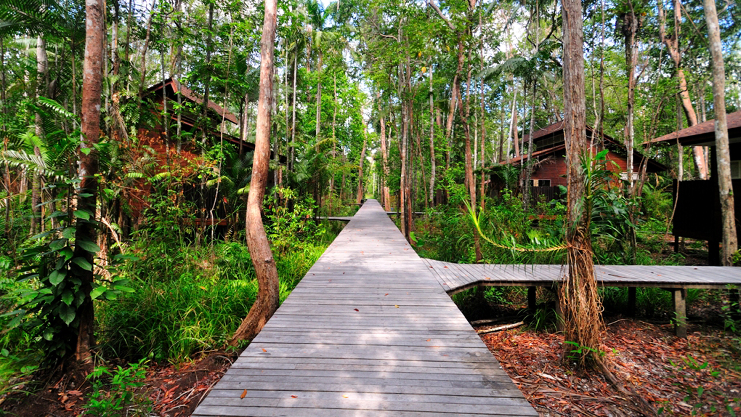 Kinabatangan Wetlands Resort