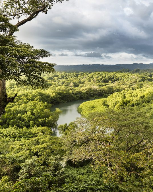 Lagarta Lodge