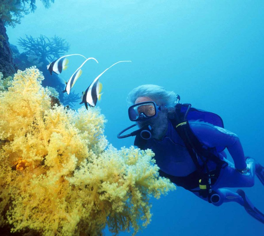 Jean-Michel Cousteau Resort