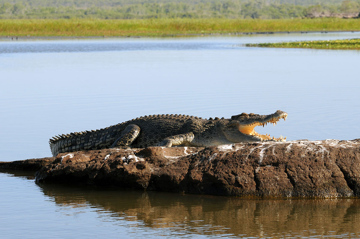 Lord’s Safaris Camp