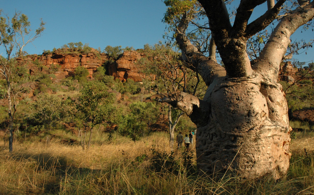Lord’s Safaris Camp