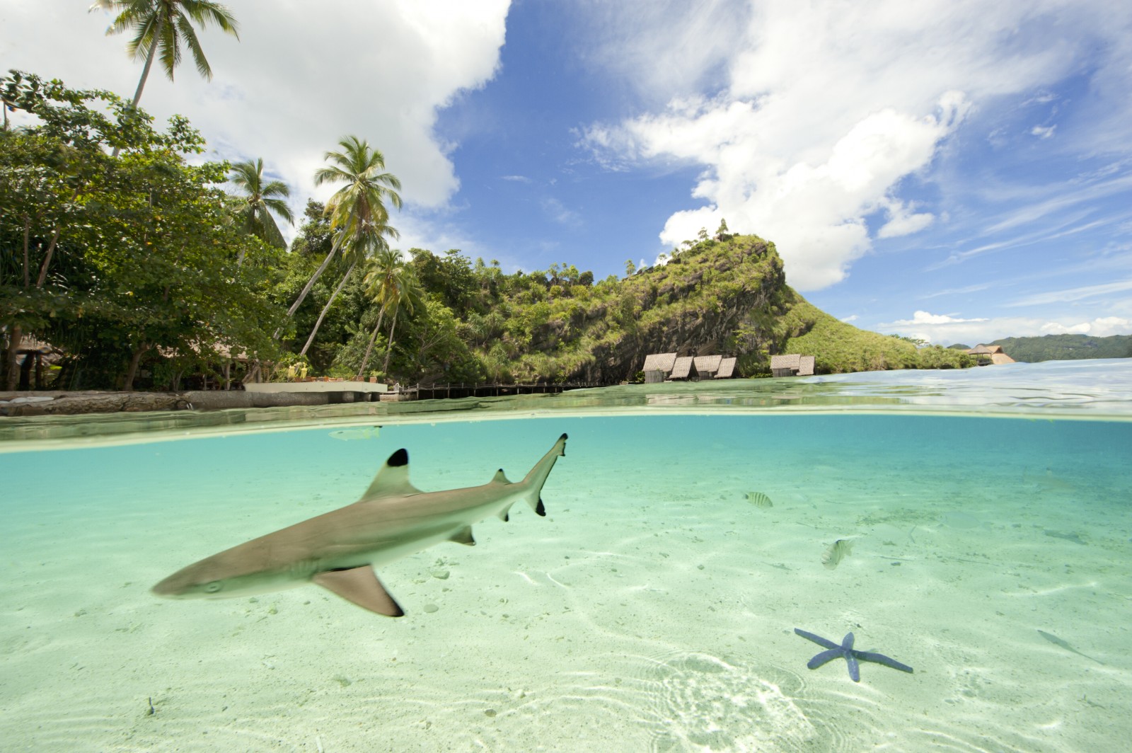 Misool Eco Resort
