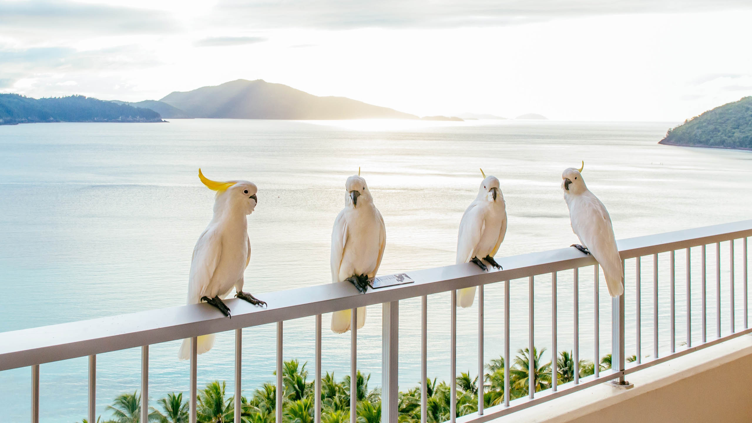 Reef View Hotel