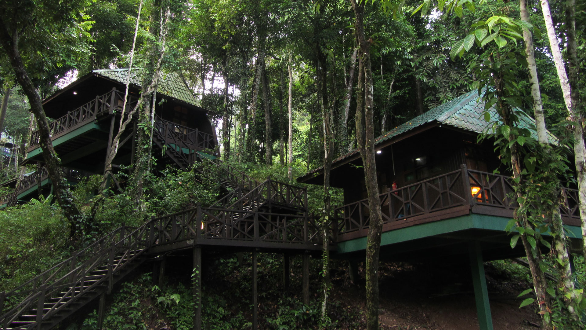 Tabin Wildlife Resort