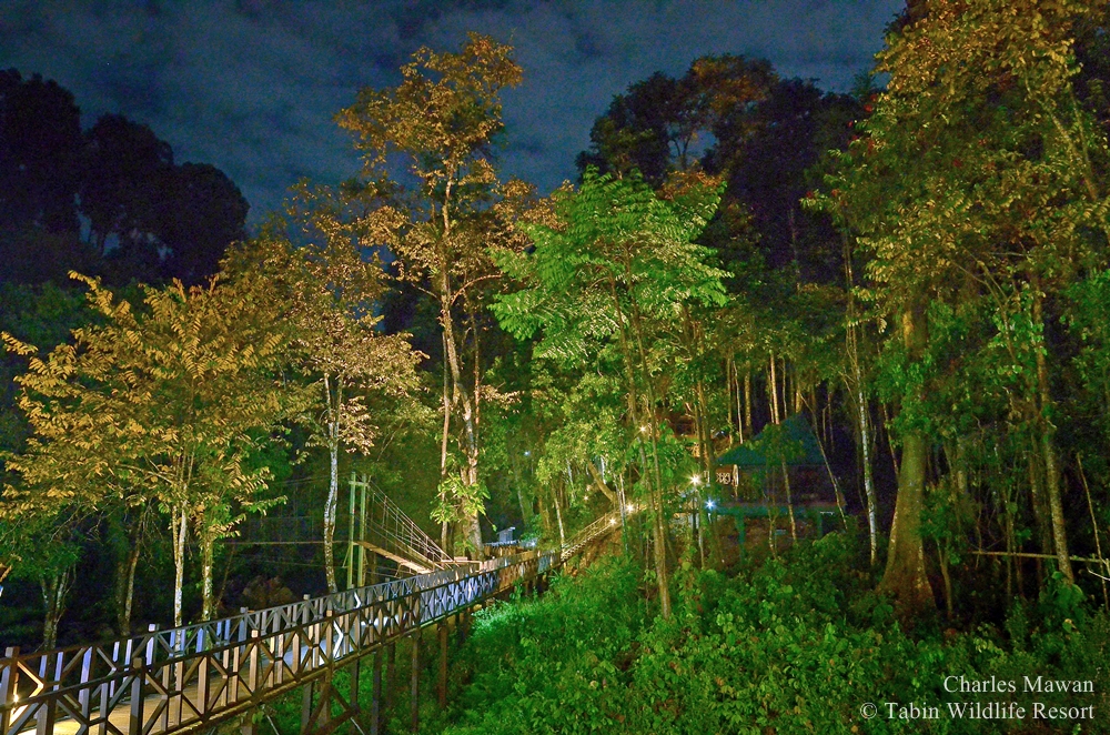 Tabin Wildlife Resort