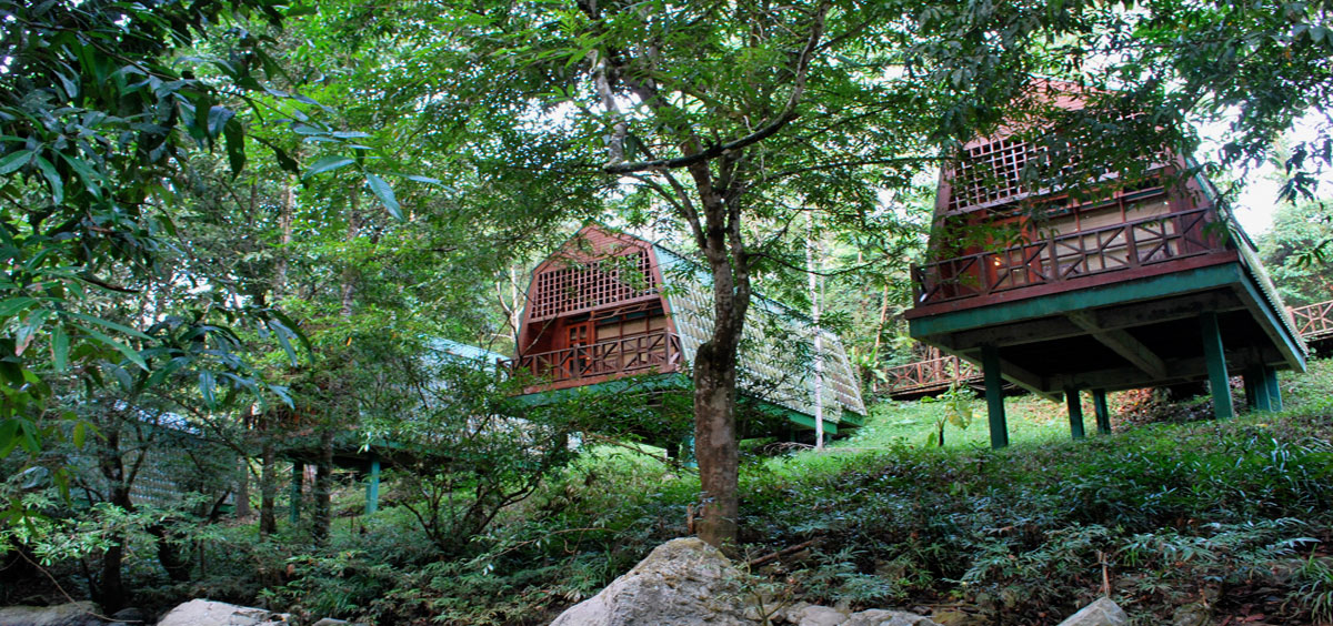 Tabin Wildlife Resort