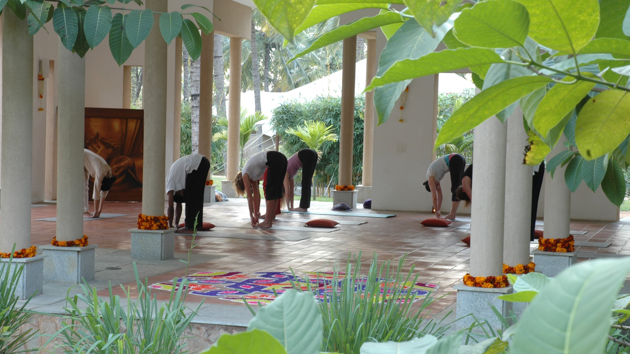 Shreyas Yoga Retreat