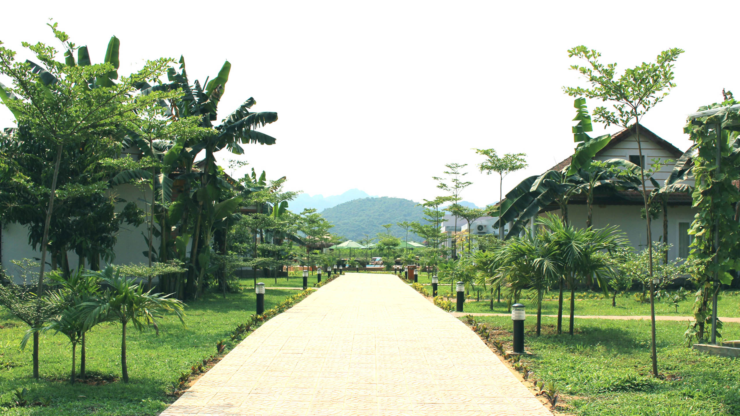 Chay Lap Farmstay