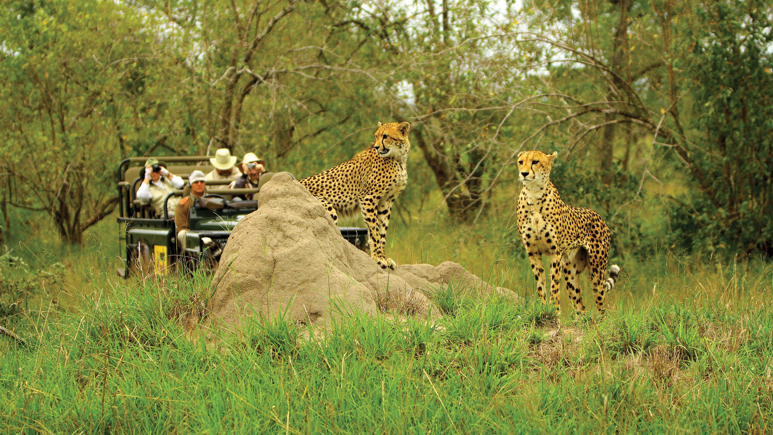MalaMala Game Reserve