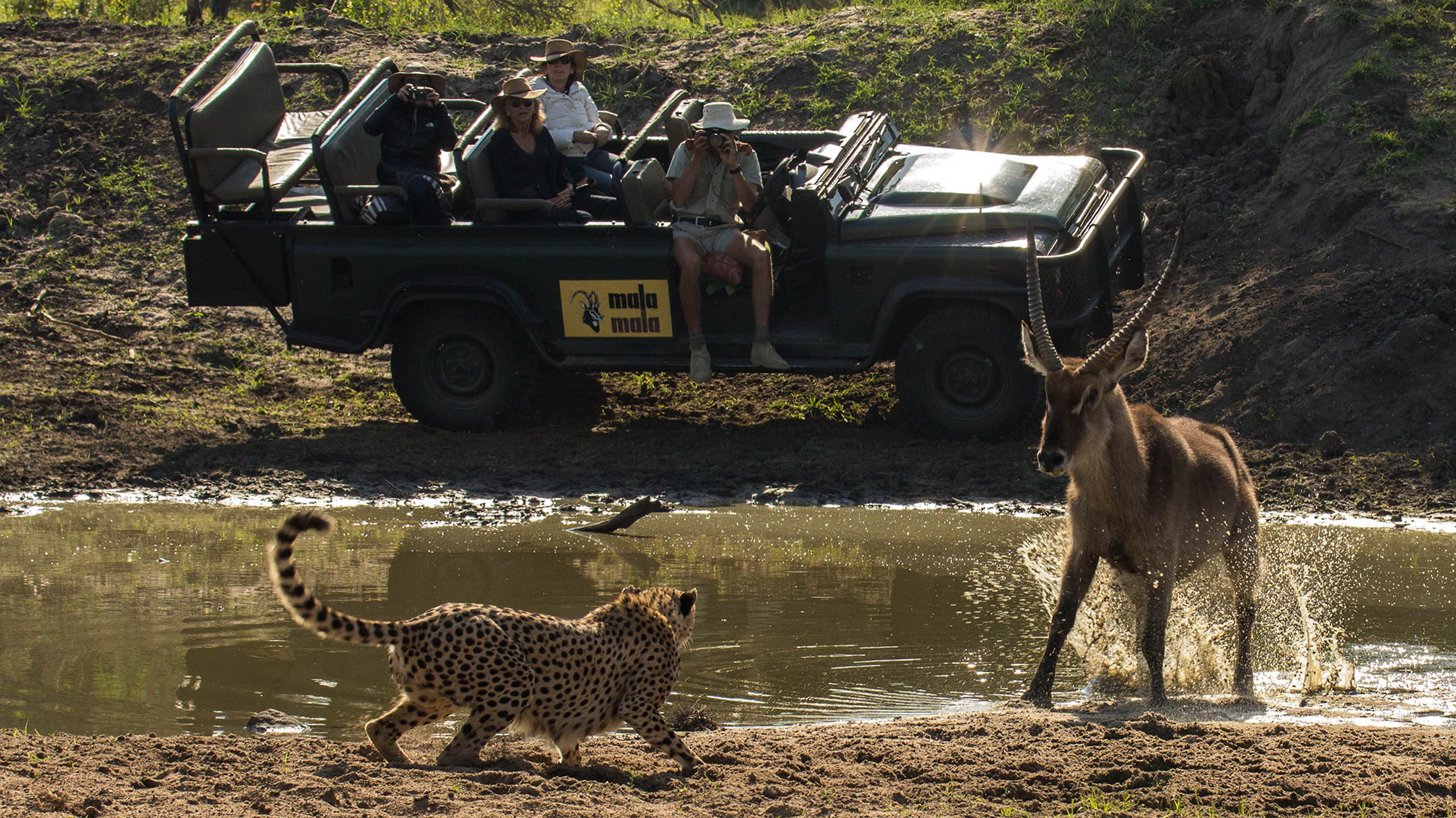 MalaMala Game Reserve