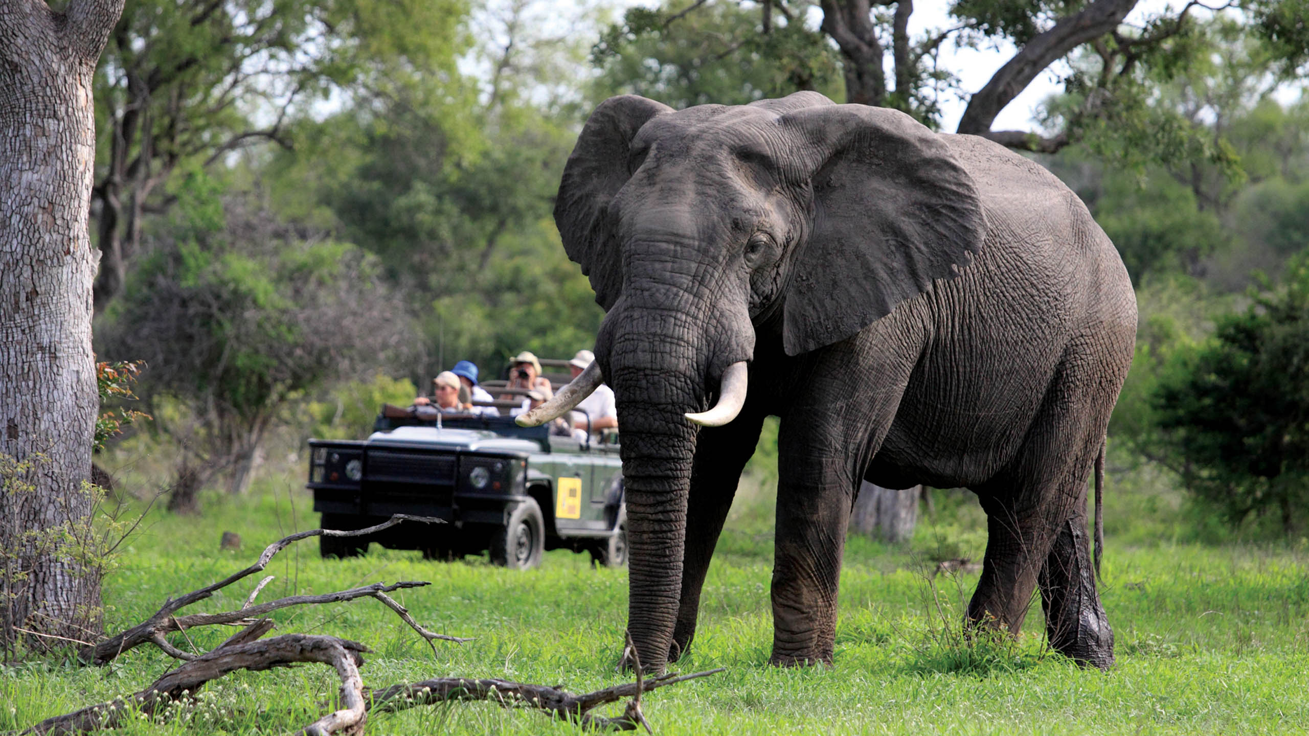 MalaMala Game Reserve
