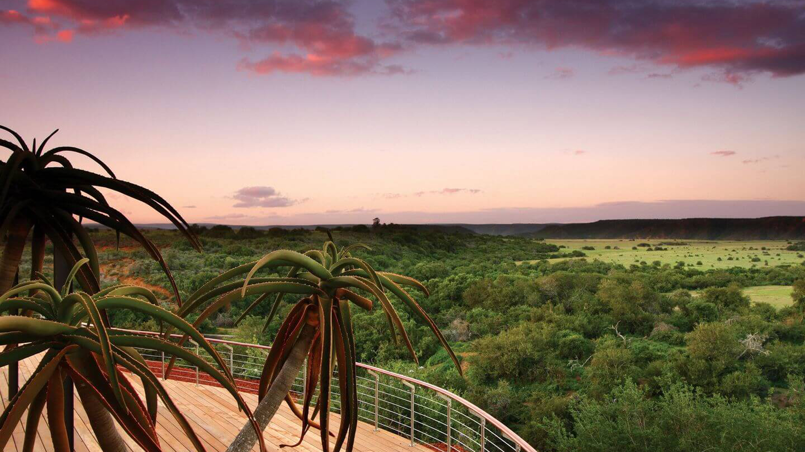 Shamwari Sarili Lodge