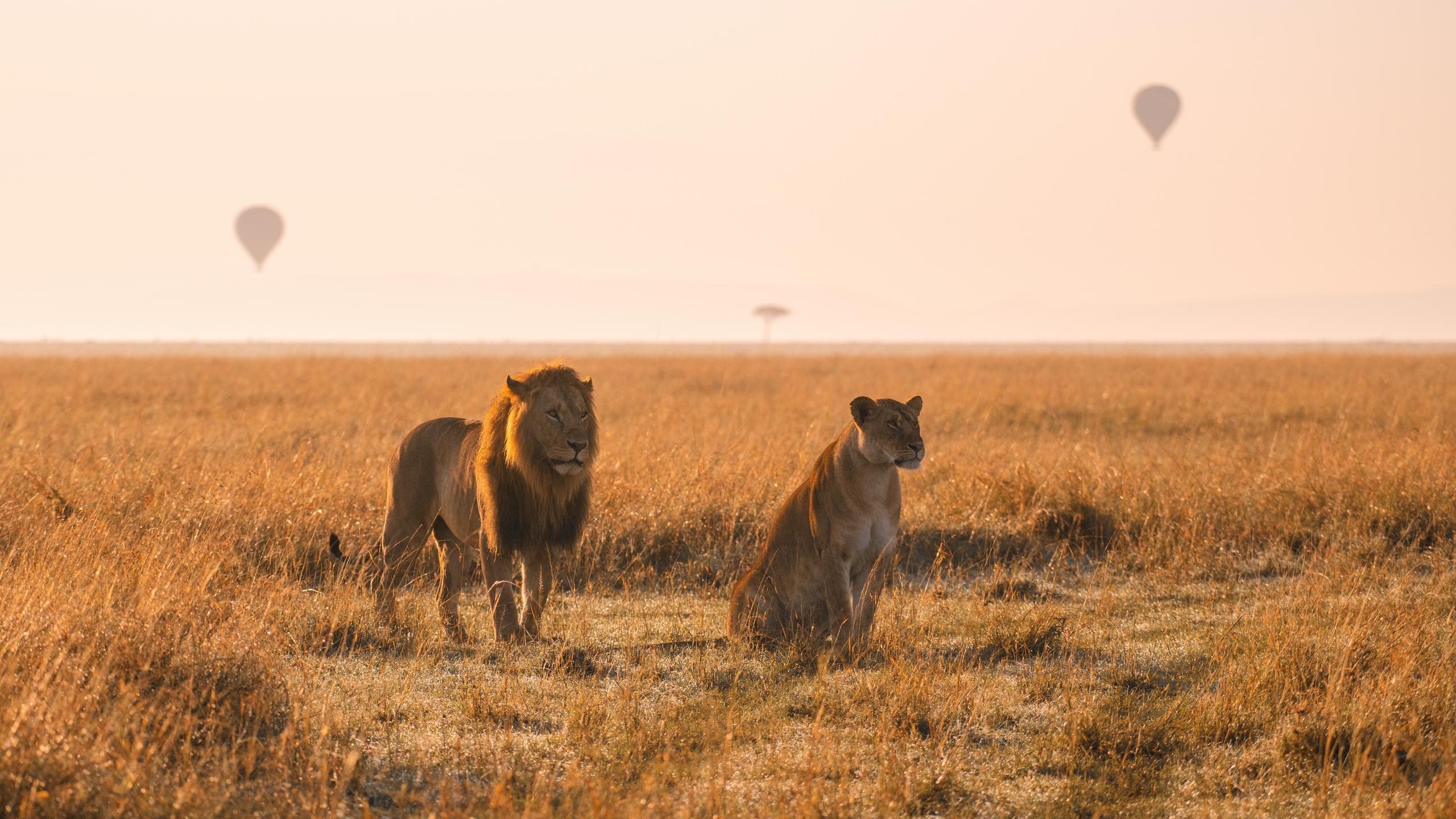 The Best Time to Visit Africa | Jacada Travel