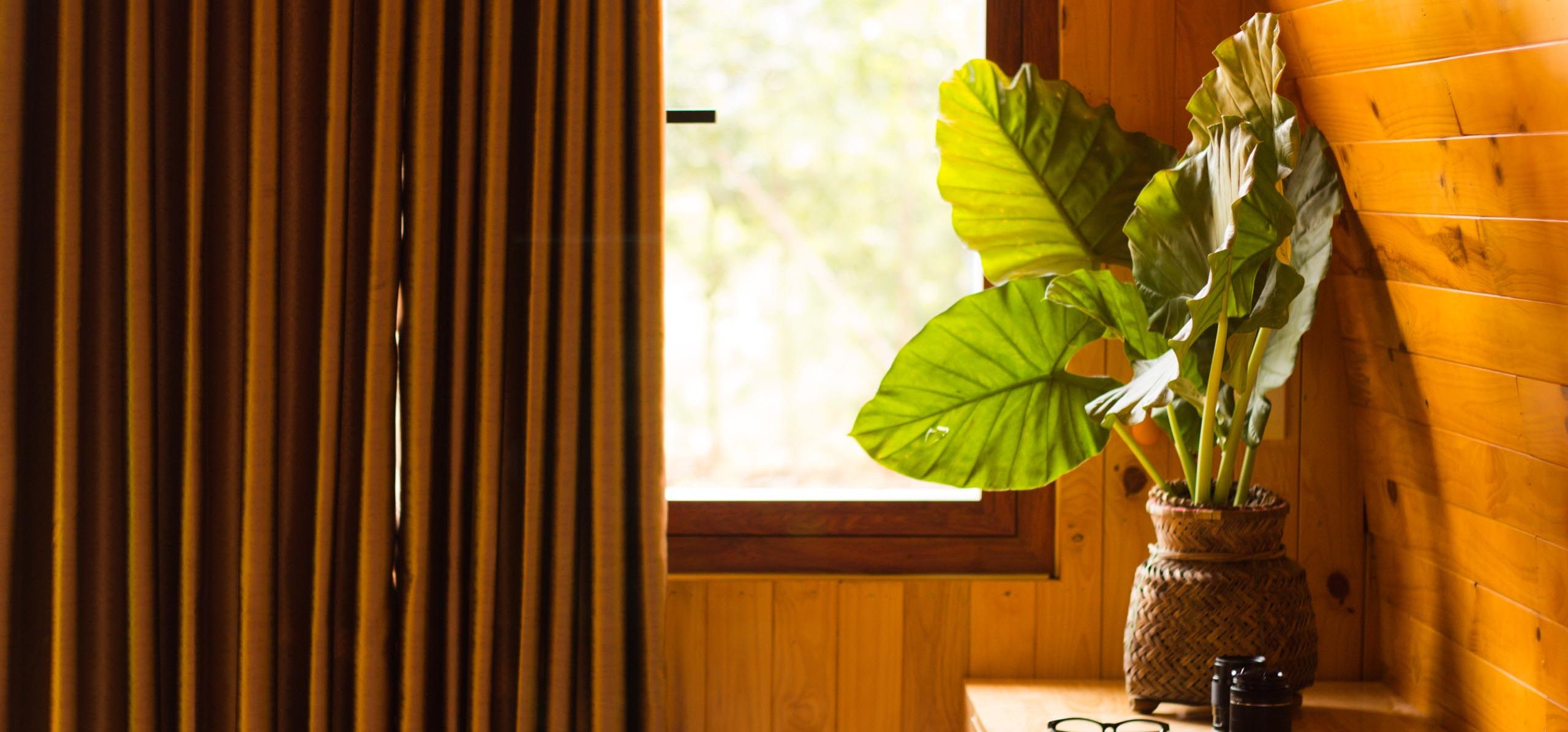 Chay Lap Farmstay