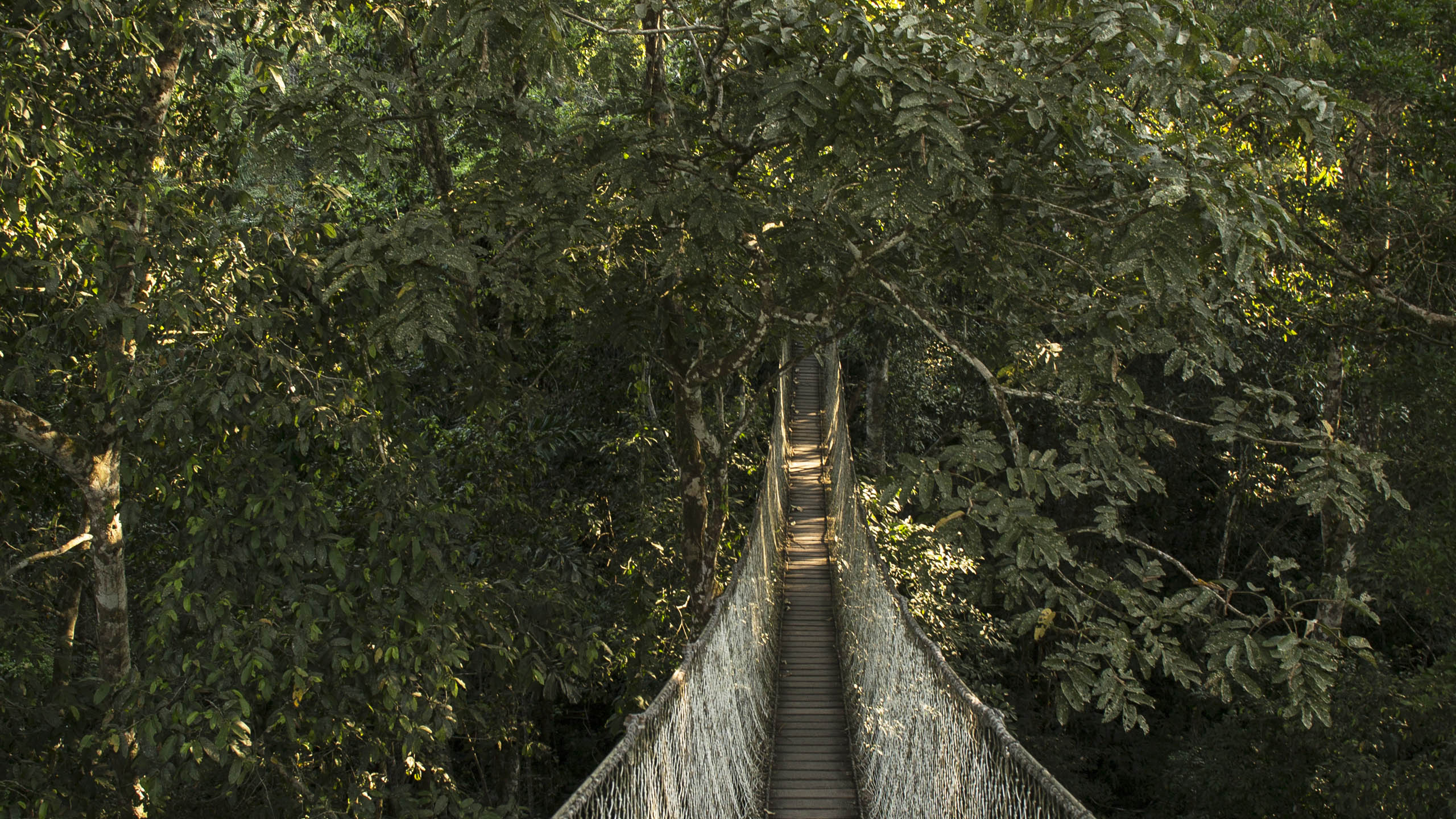 Amazon Field Station byInkaterra
