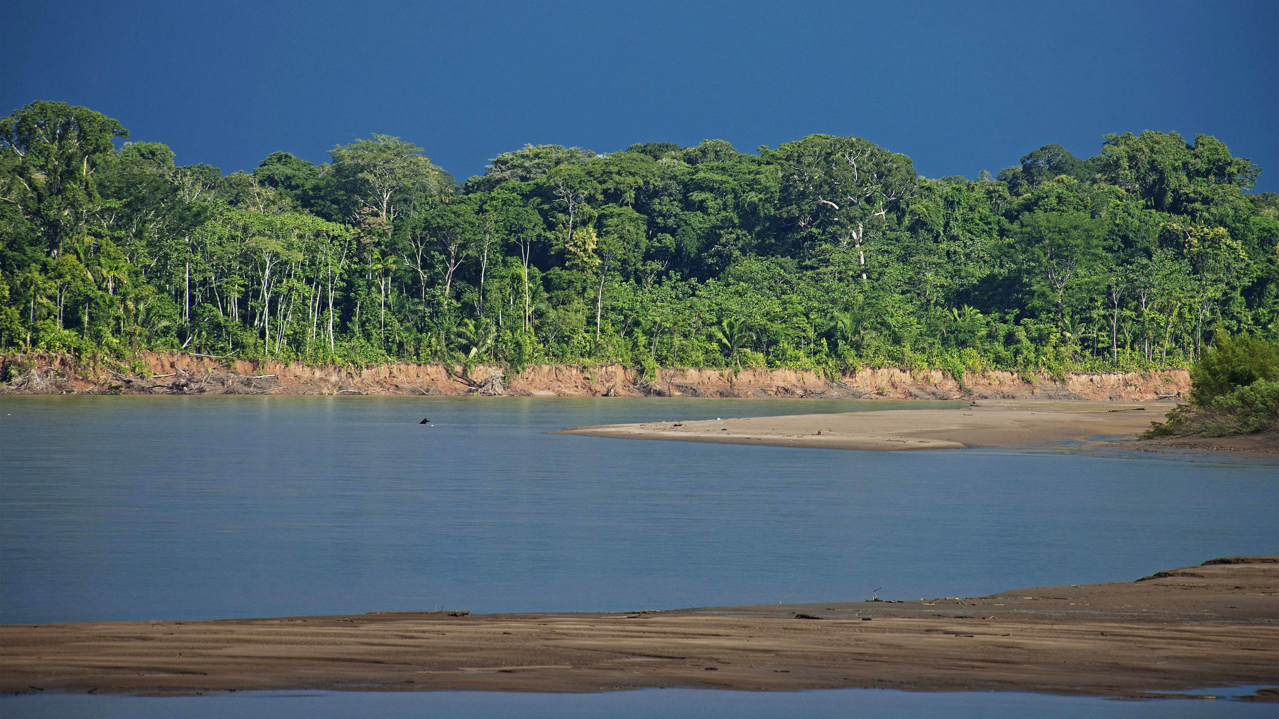 Amazon Field Station byInkaterra