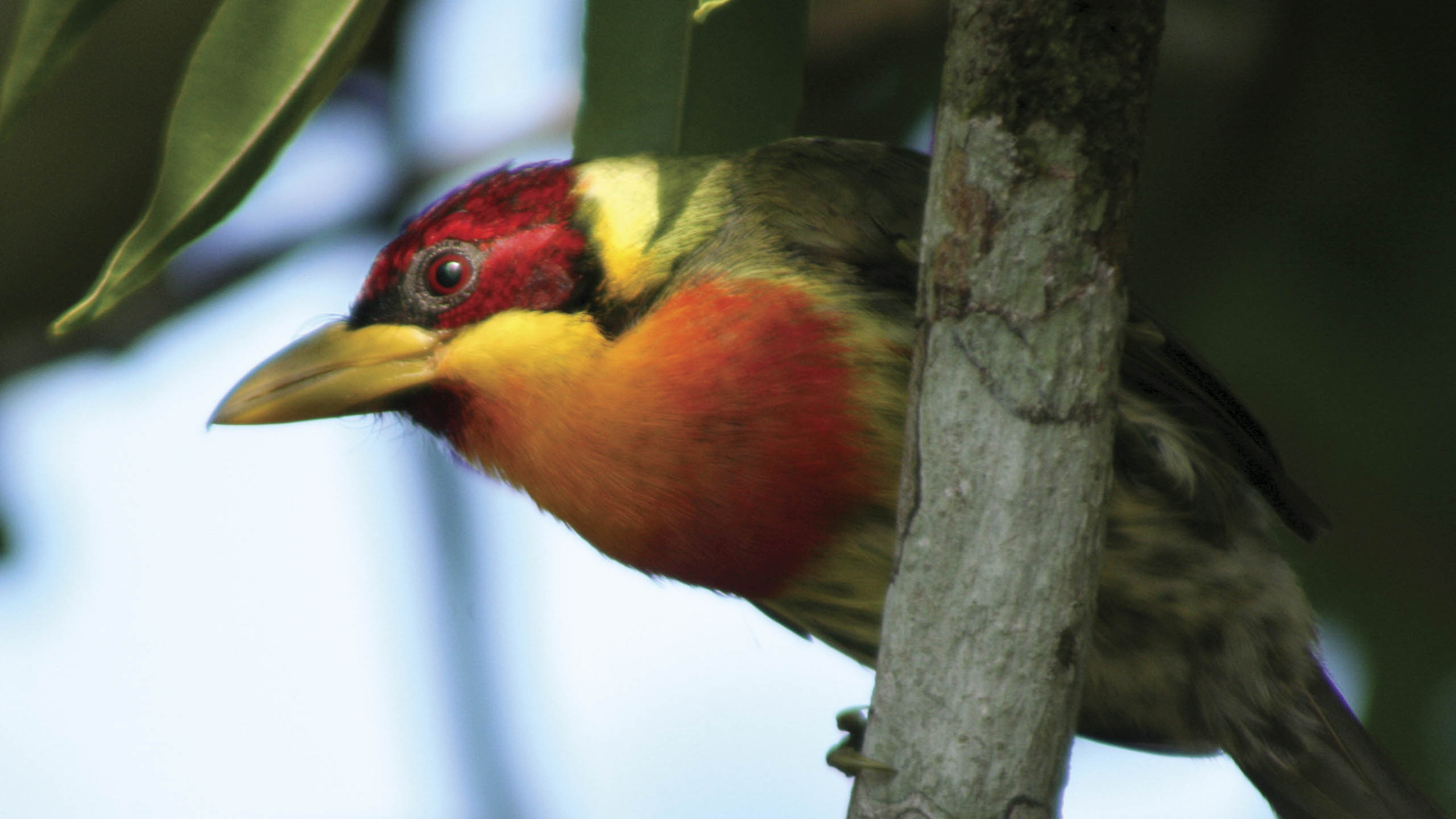 Amazon Field Station byInkaterra