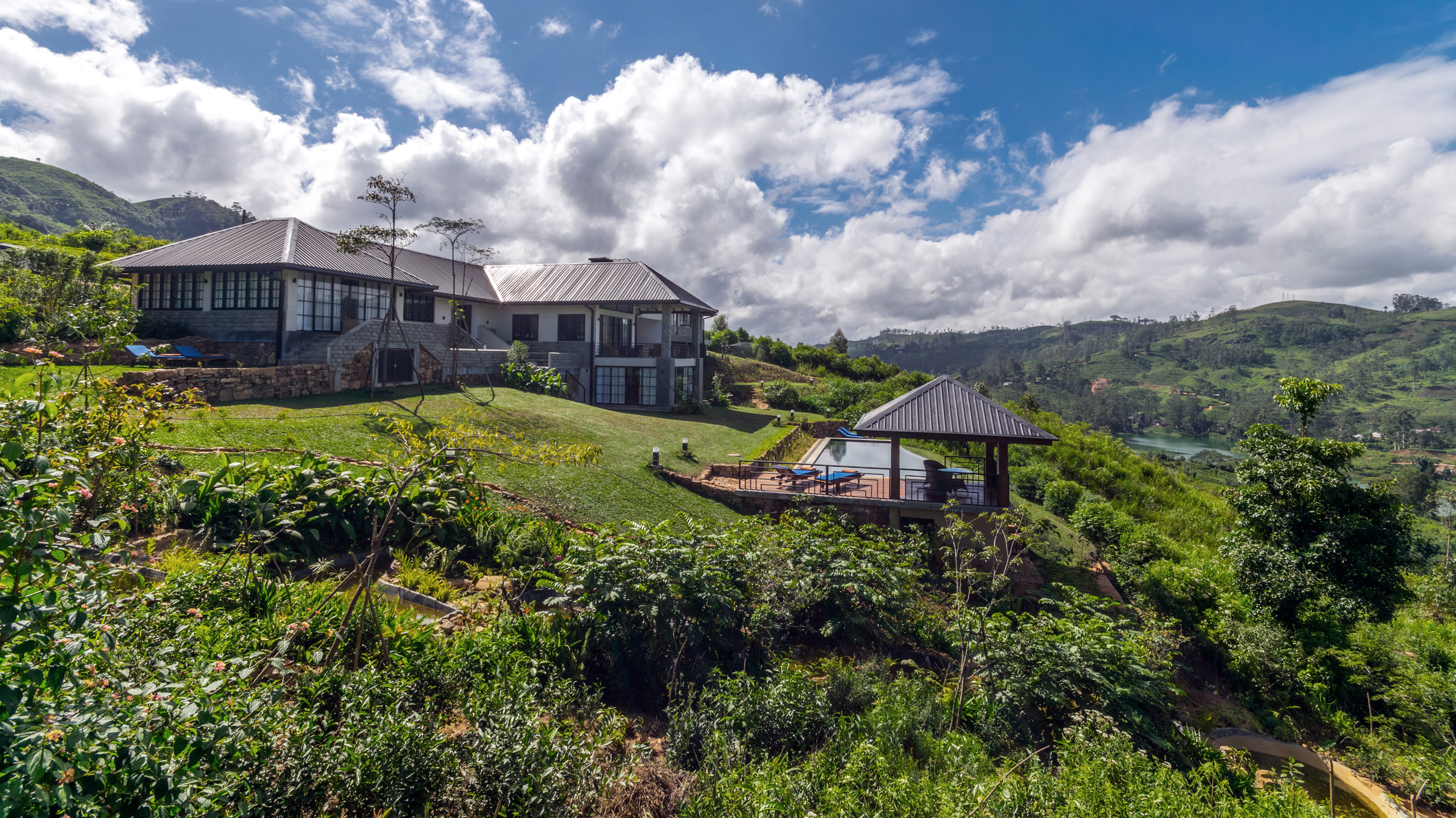 Camellia Hills