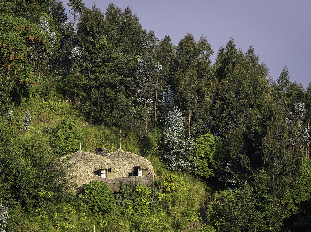 Several round thatched-roof buildings integrated into a dense, green forest on a hillside at dusk.