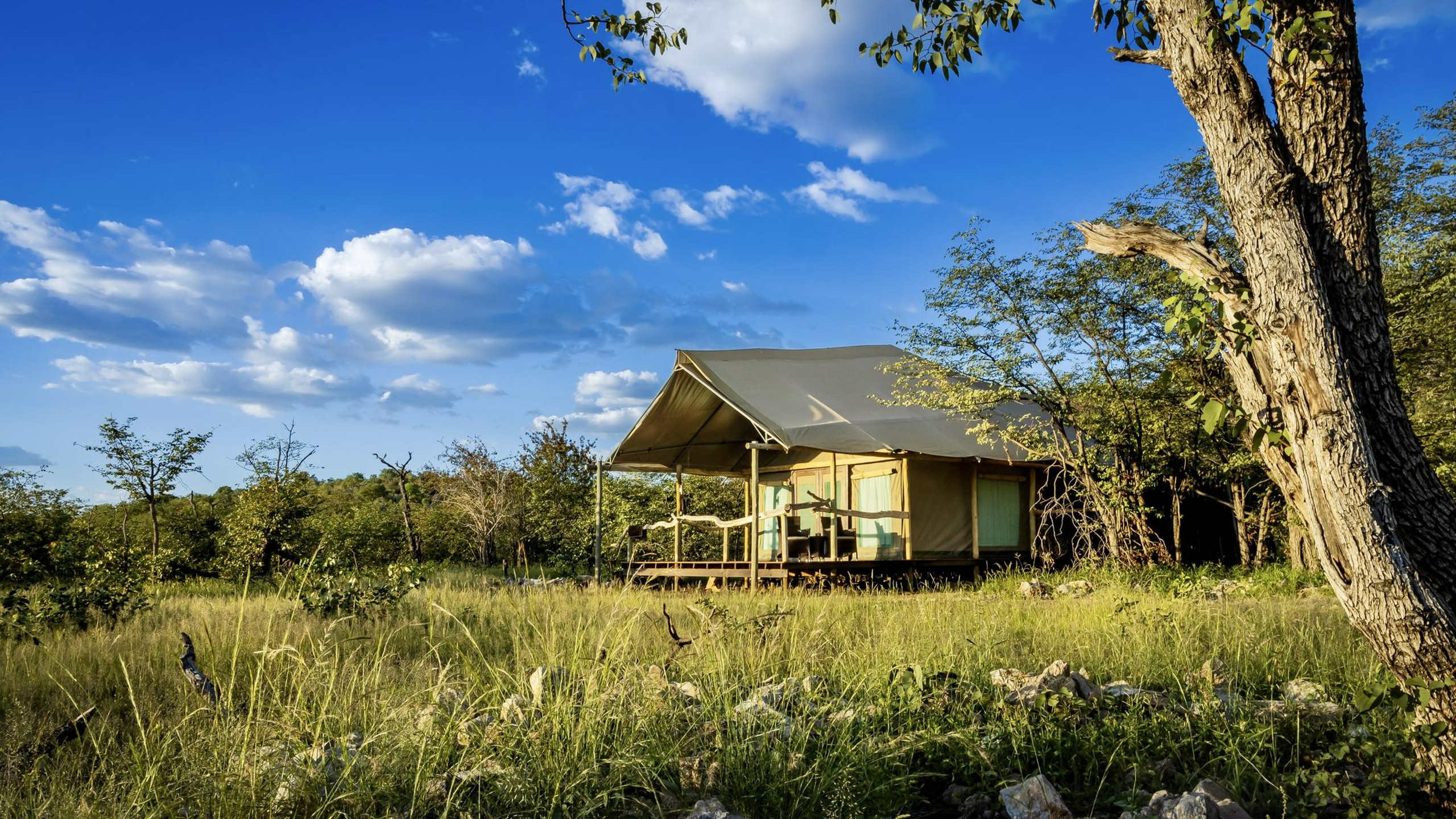 Ongava Tented Camp | Luxury Camp In Namibia