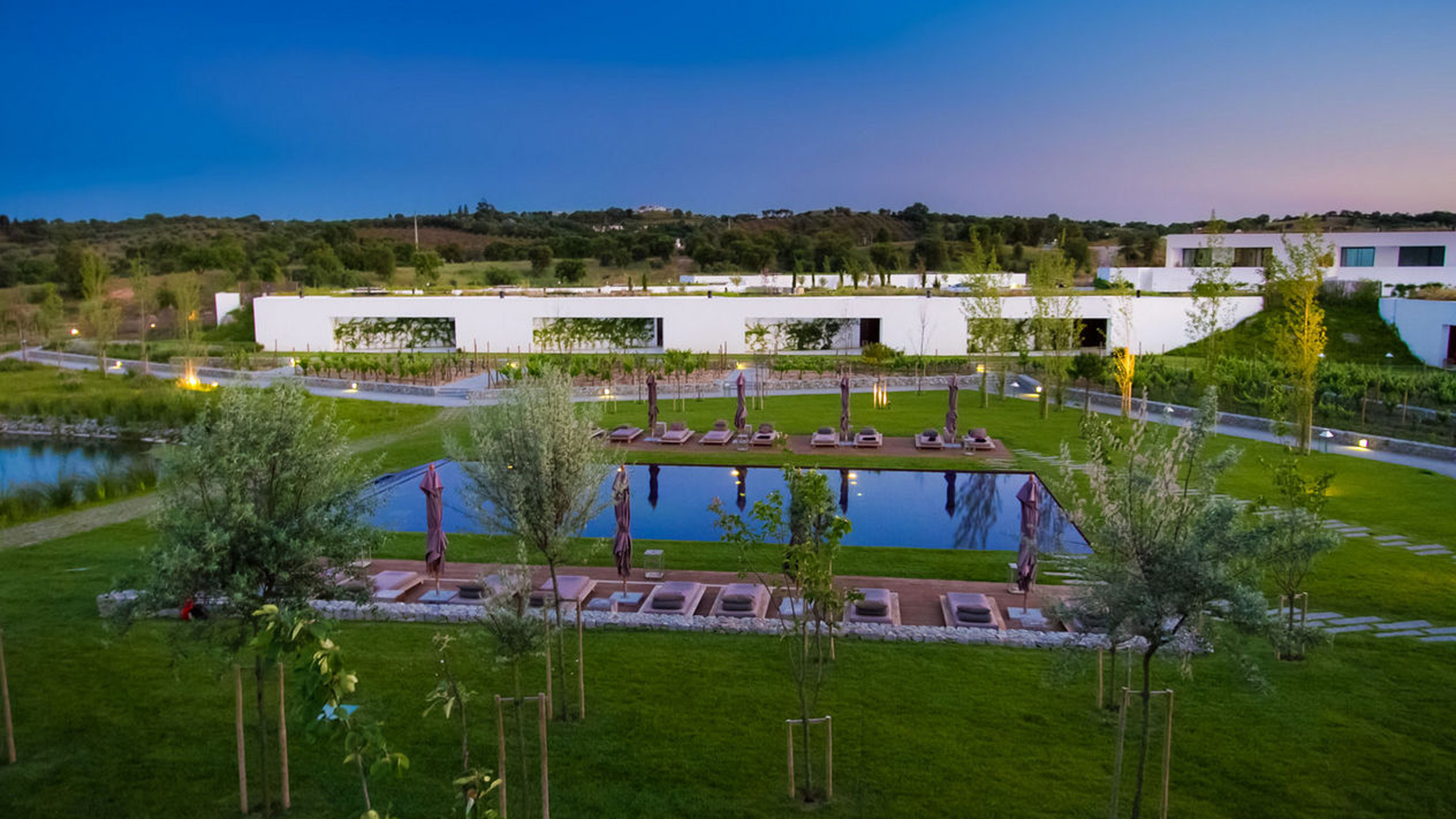 l-and-vineyards-pool