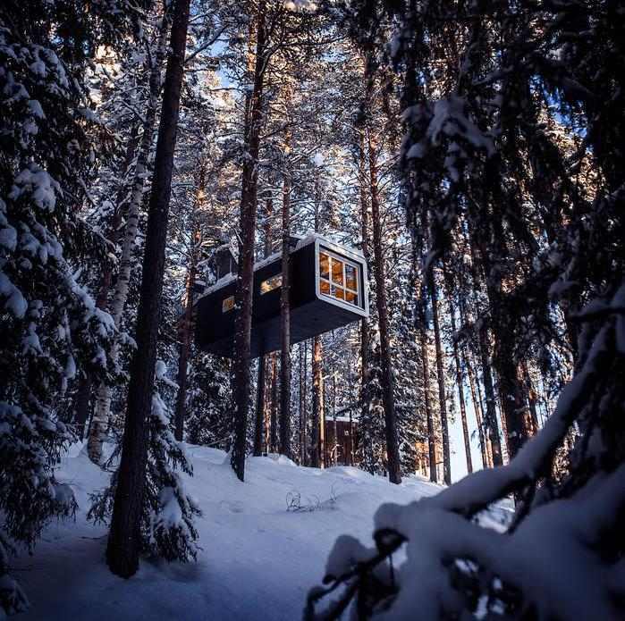 A black rectangular treehouse with a large window hanging in a dense, snowy forest.