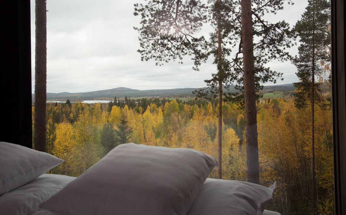 Looking from a white-pillowed bed through a window at a forest of yellow and green trees.