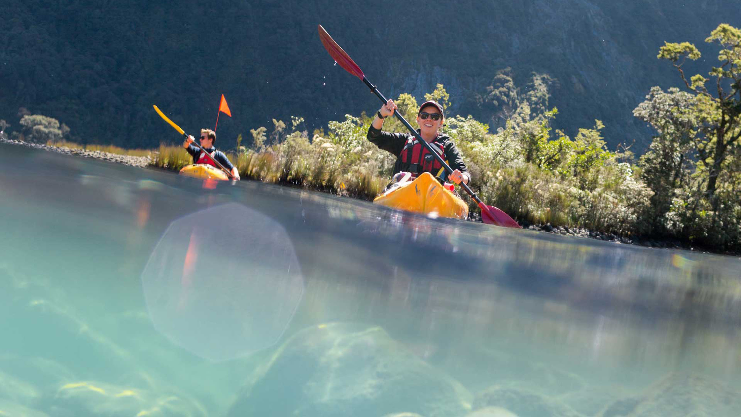 Fiordland Jewel