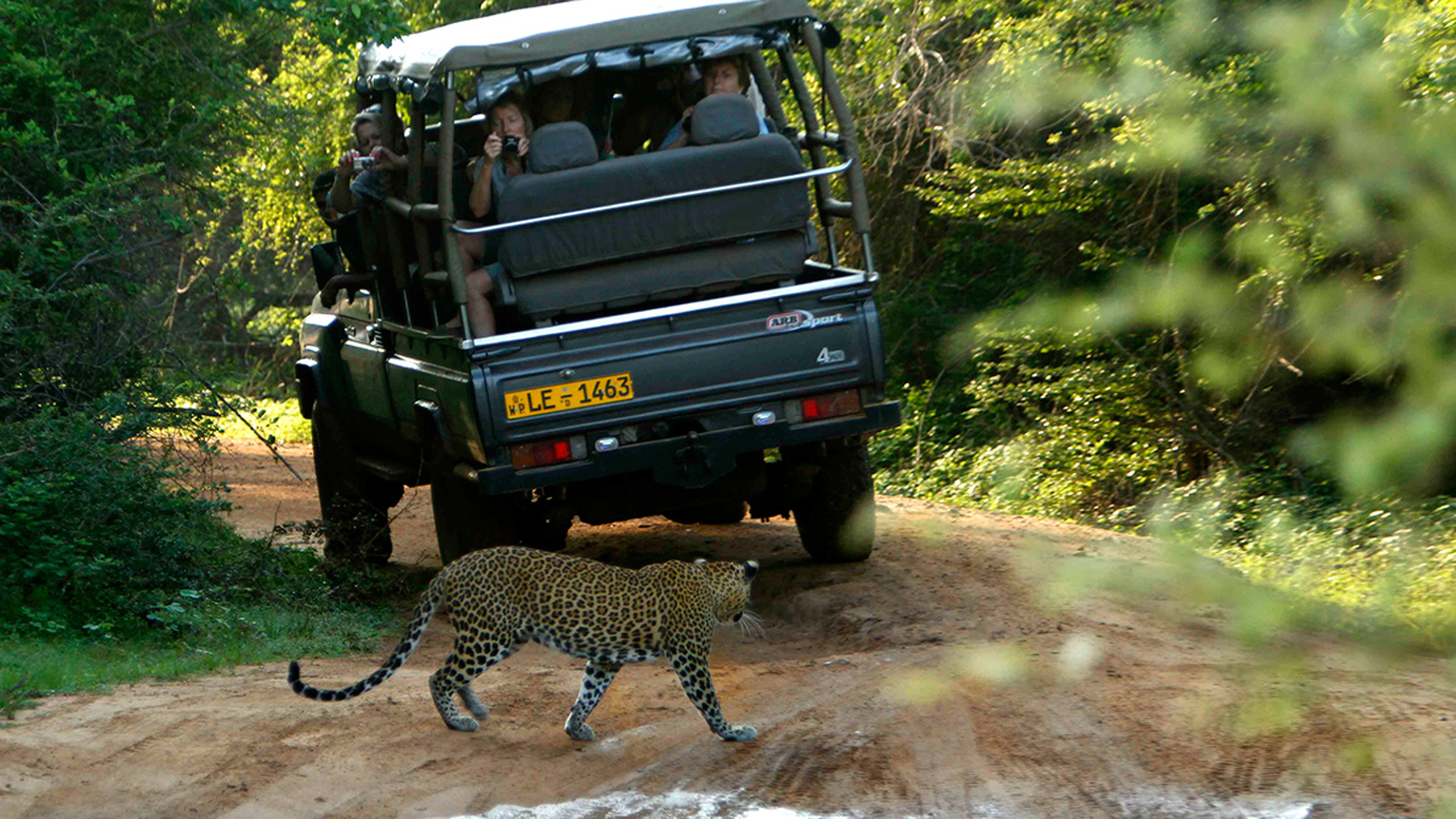 Noel Rodrigo’s Leopard Safari Camp