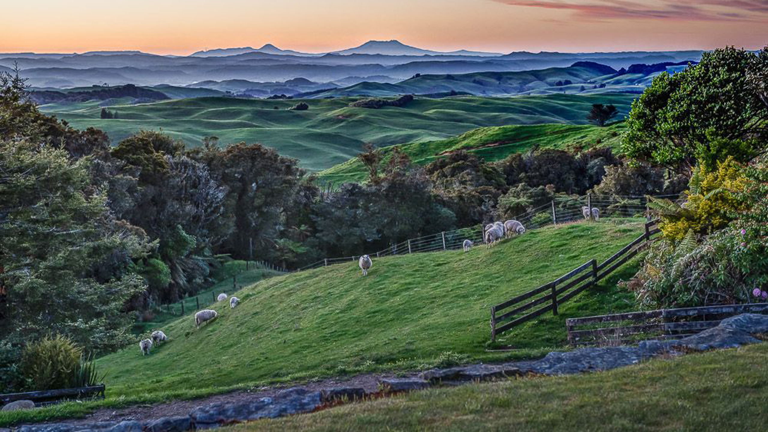 Waitomo Boutique Lodge