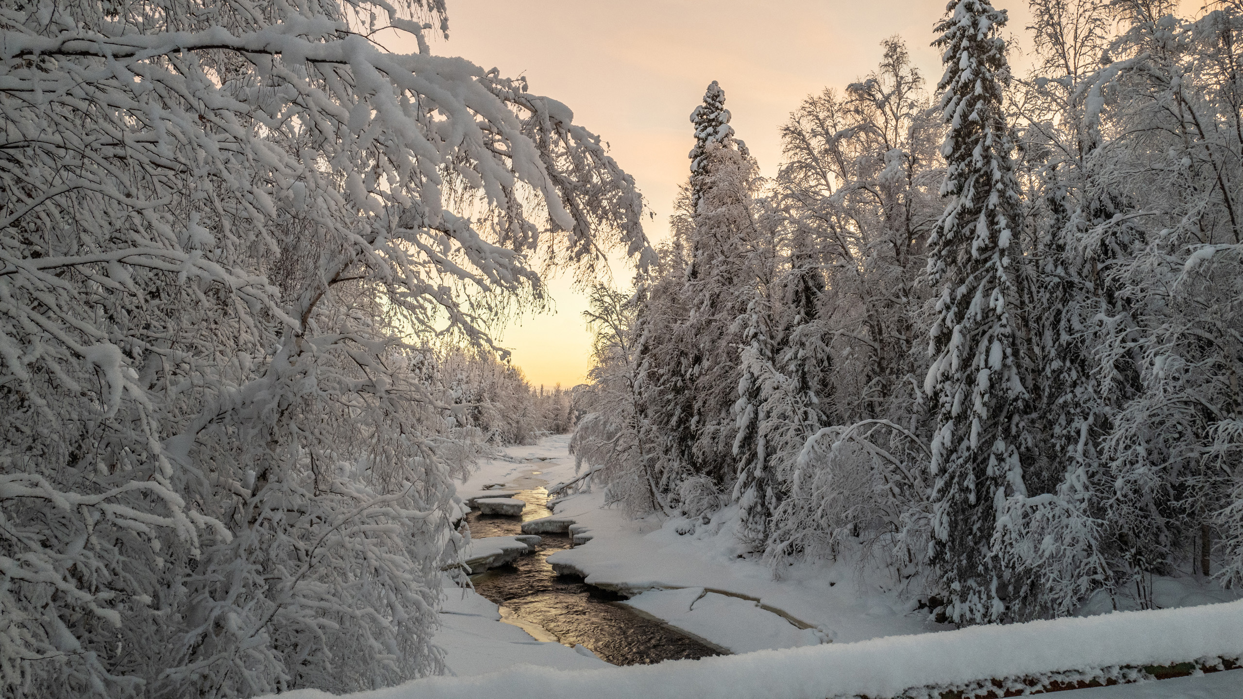 Logger’s Lodge